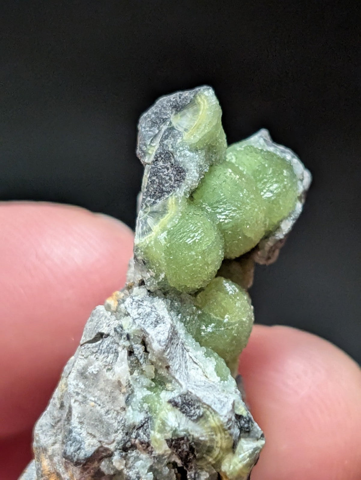 A cluster of translucent green gemstones nestled within a rough, grayish rock matrix.
