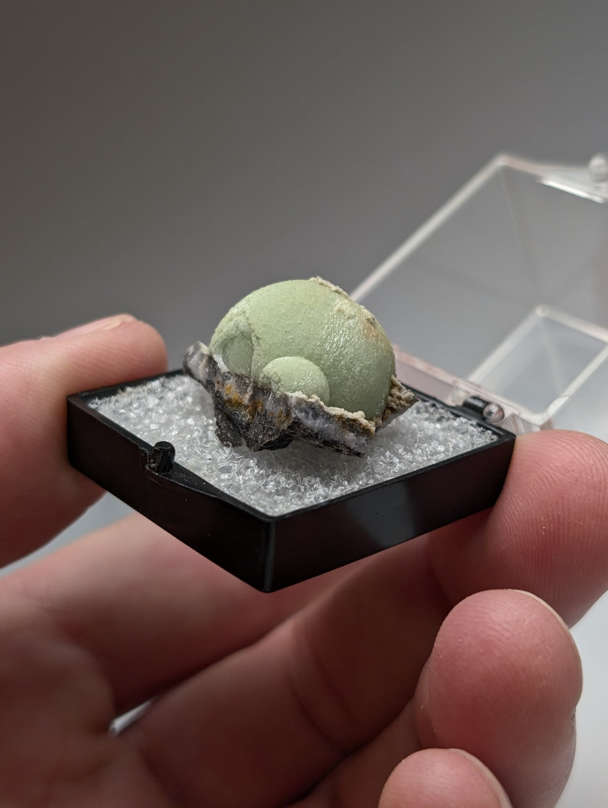 Green wavellite mineral specimen with pale green smooth surface on white matrix in black display case from mauldin mountain arkansas