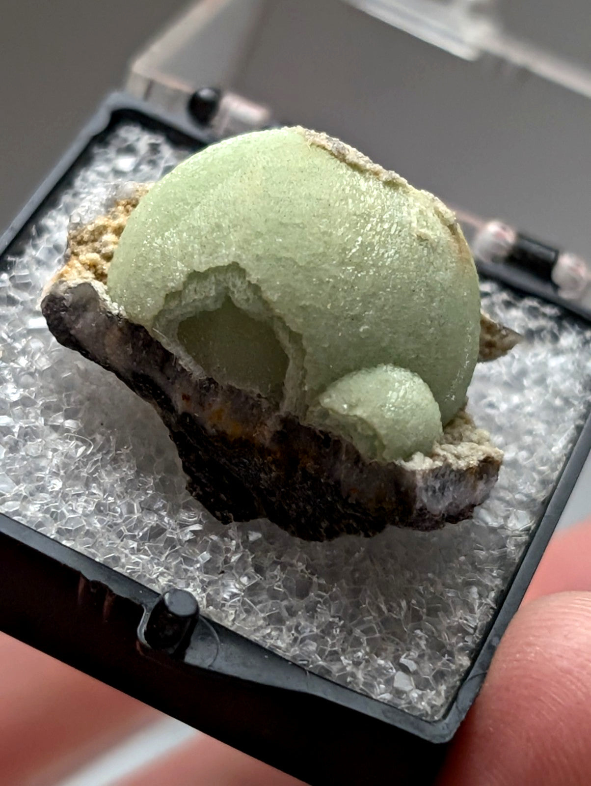 Green wavellite mineral specimen with pale green spherical crystalline texture on dark rocky base from mauldin mountain arkansas