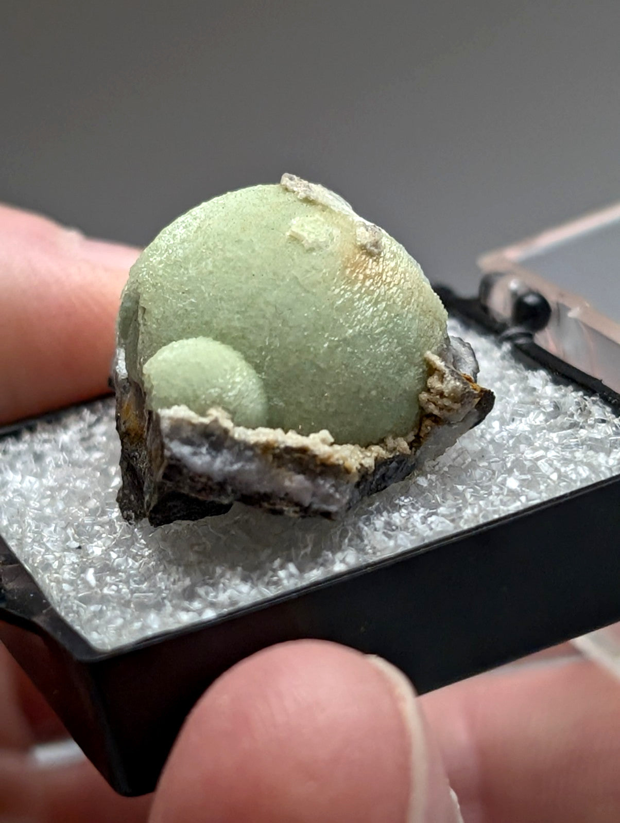 A pale green spherical green wavellite mineral with textured surface and white crystals from mauldin mountain arkansas
