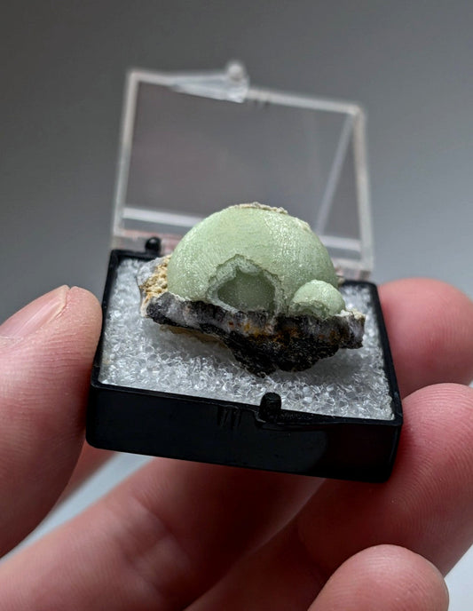 Green wavellite mineral specimen with pale green dome shape and dark base rock in black protective case from mauldin mountain arkansas