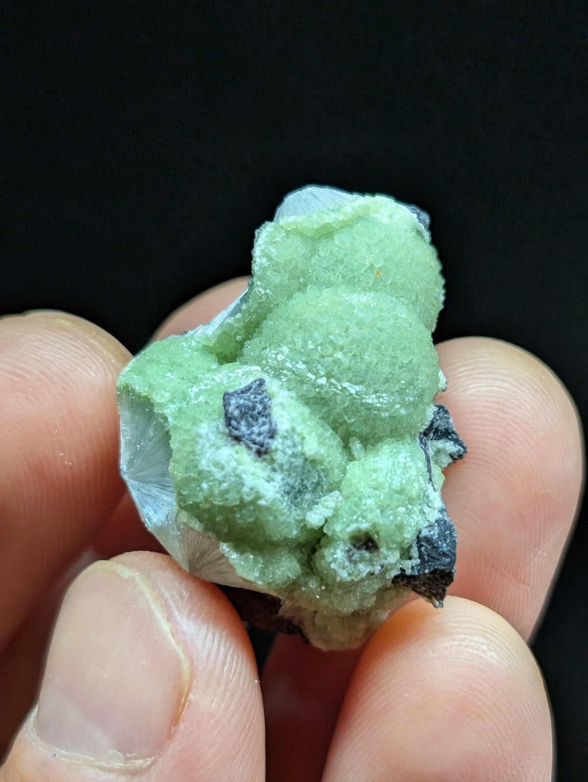 Green Wavellite -Old Stock - Mauldin Mountain Arkansas Natural Mineral - Collectibles:Rocks Fossils & Minerals:Crystals