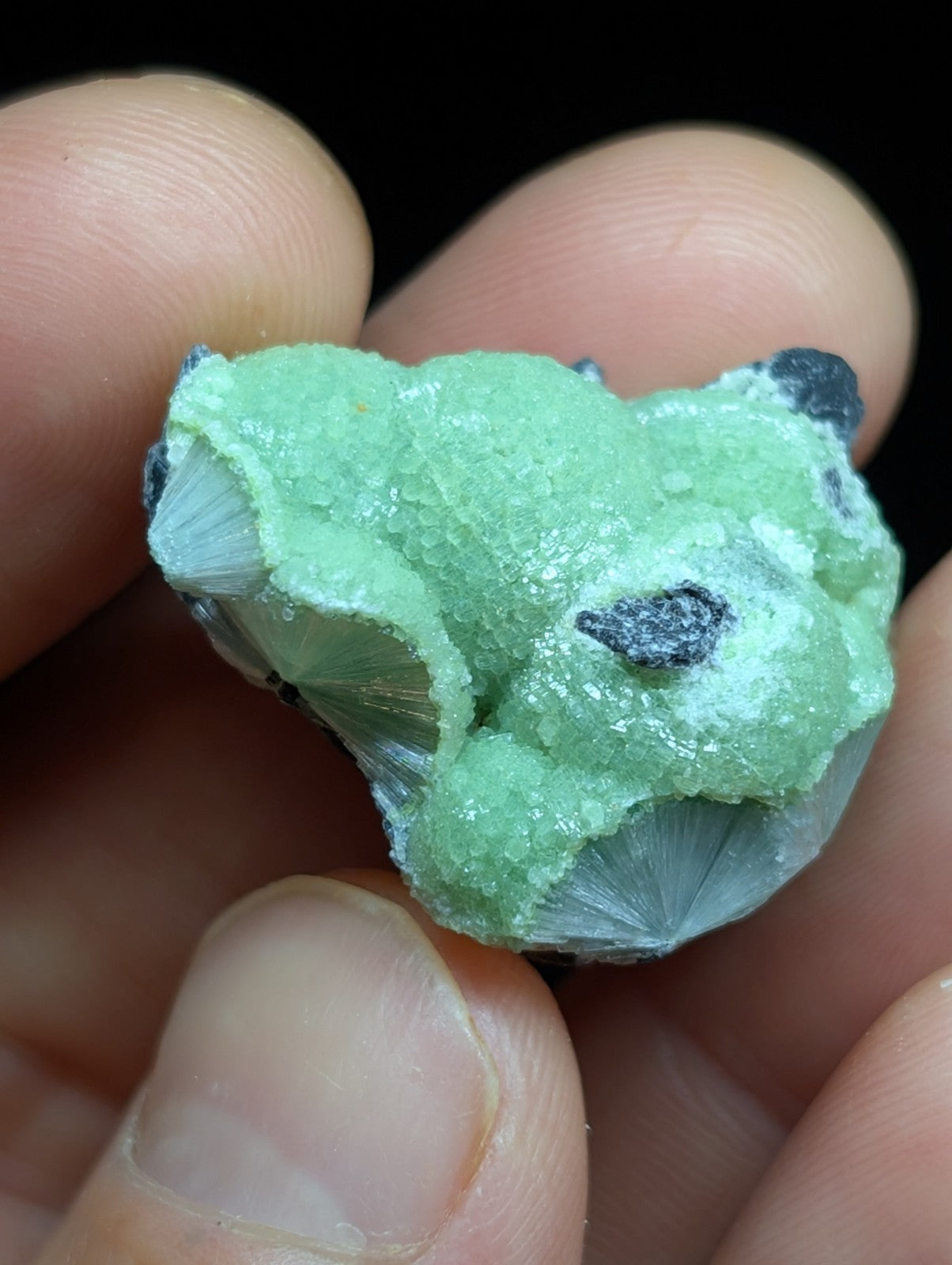 Green Wavellite -Old Stock - Mauldin Mountain Arkansas Natural Mineral - Collectibles:Rocks Fossils & Minerals:Crystals