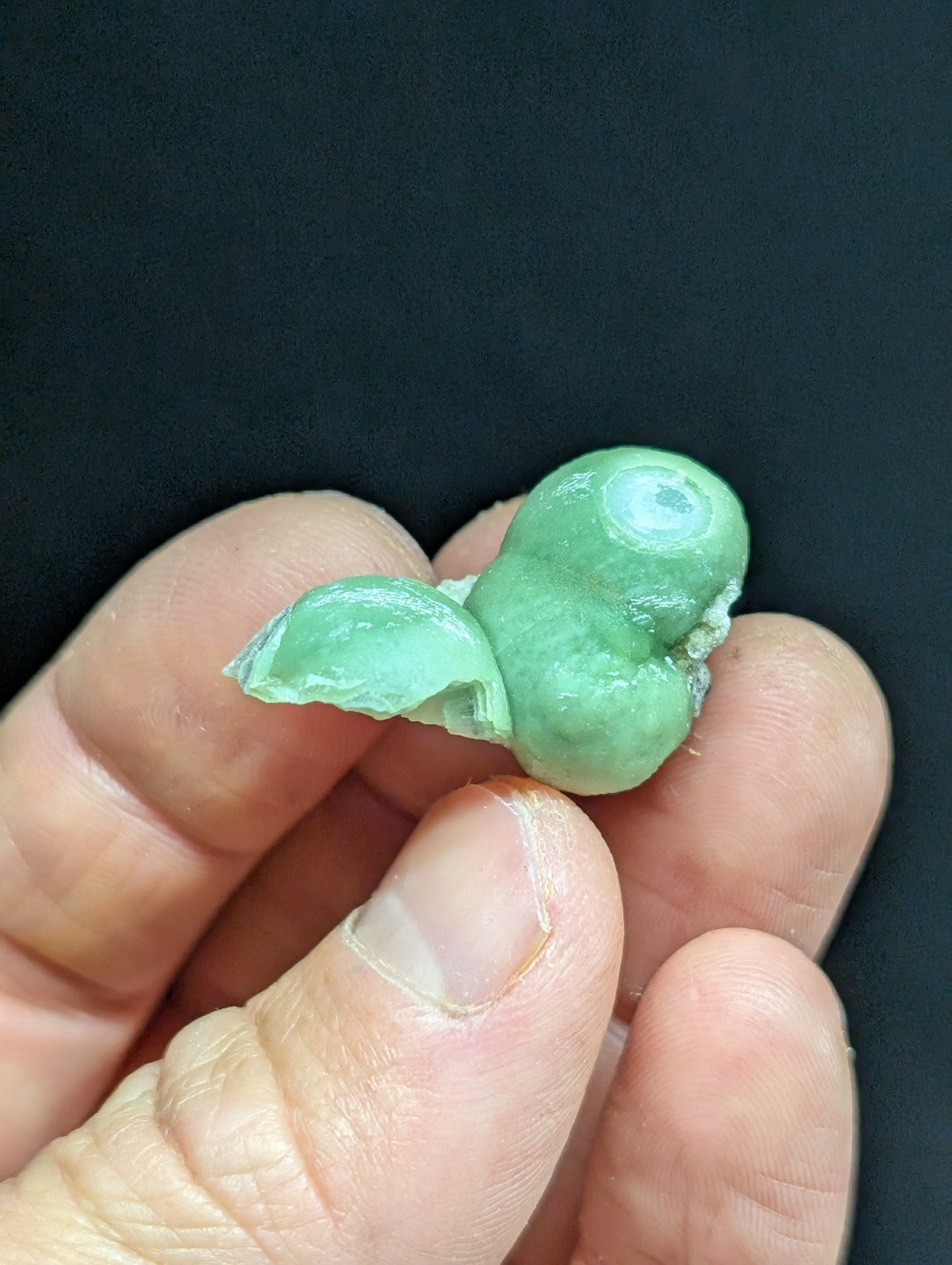 A small, mint-green, glossy figurine with a single large eye and a broken wing-like appendage.