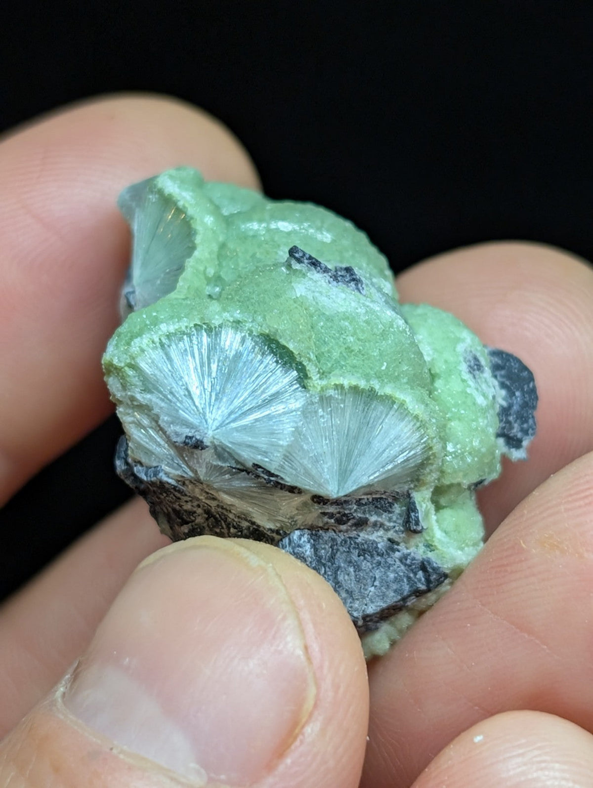 Green Wavellite -Old Stock - Mauldin Mountain Arkansas Natural Mineral - Collectibles:Rocks Fossils & Minerals:Crystals