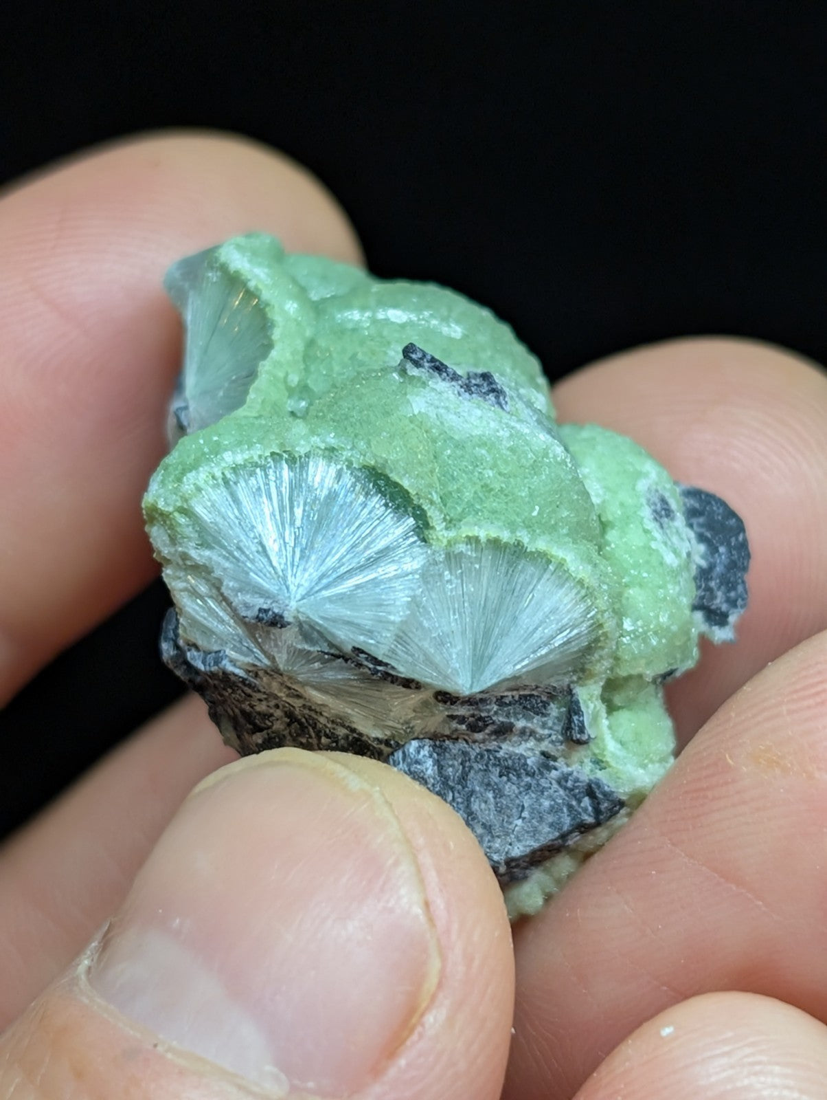 Green Wavellite -Old Stock - Mauldin Mountain Arkansas Natural Mineral - Collectibles:Rocks Fossils & Minerals:Crystals