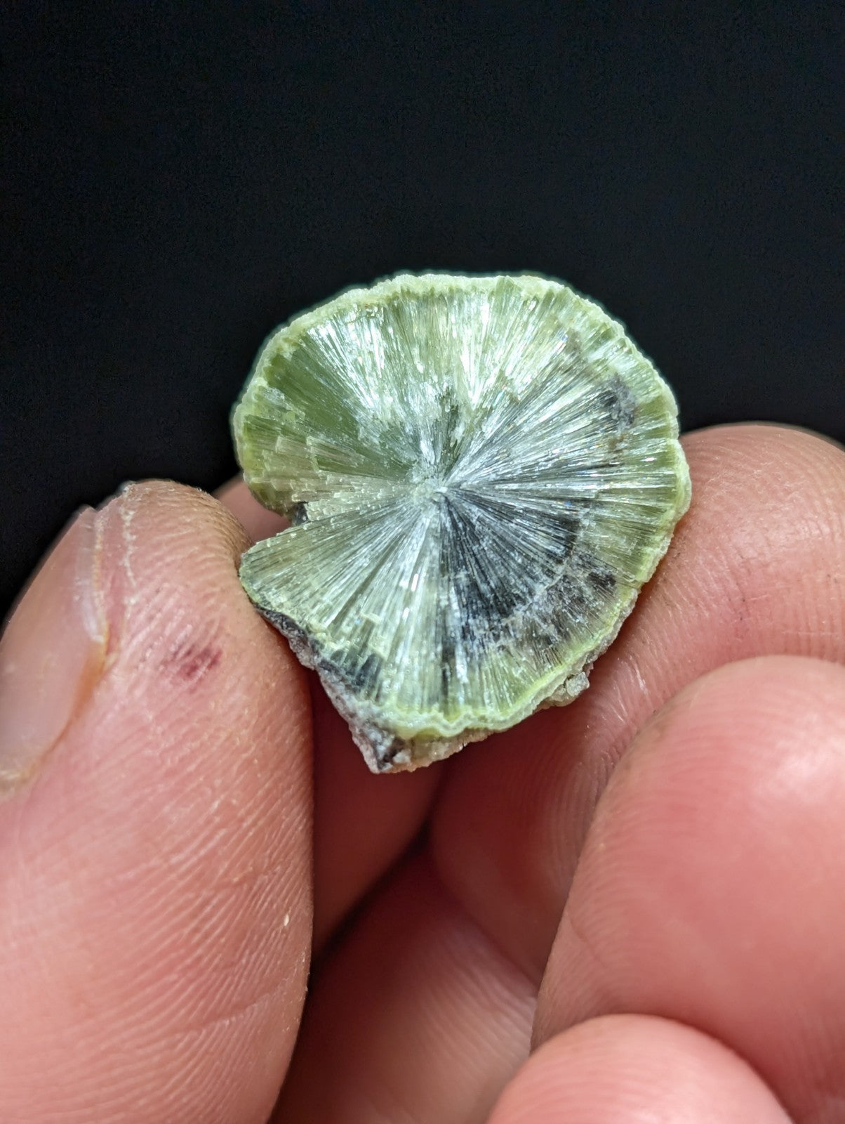 A delicate, light green mineral specimen with a radial, fan-like crystalline structure and subtle darker veining.
