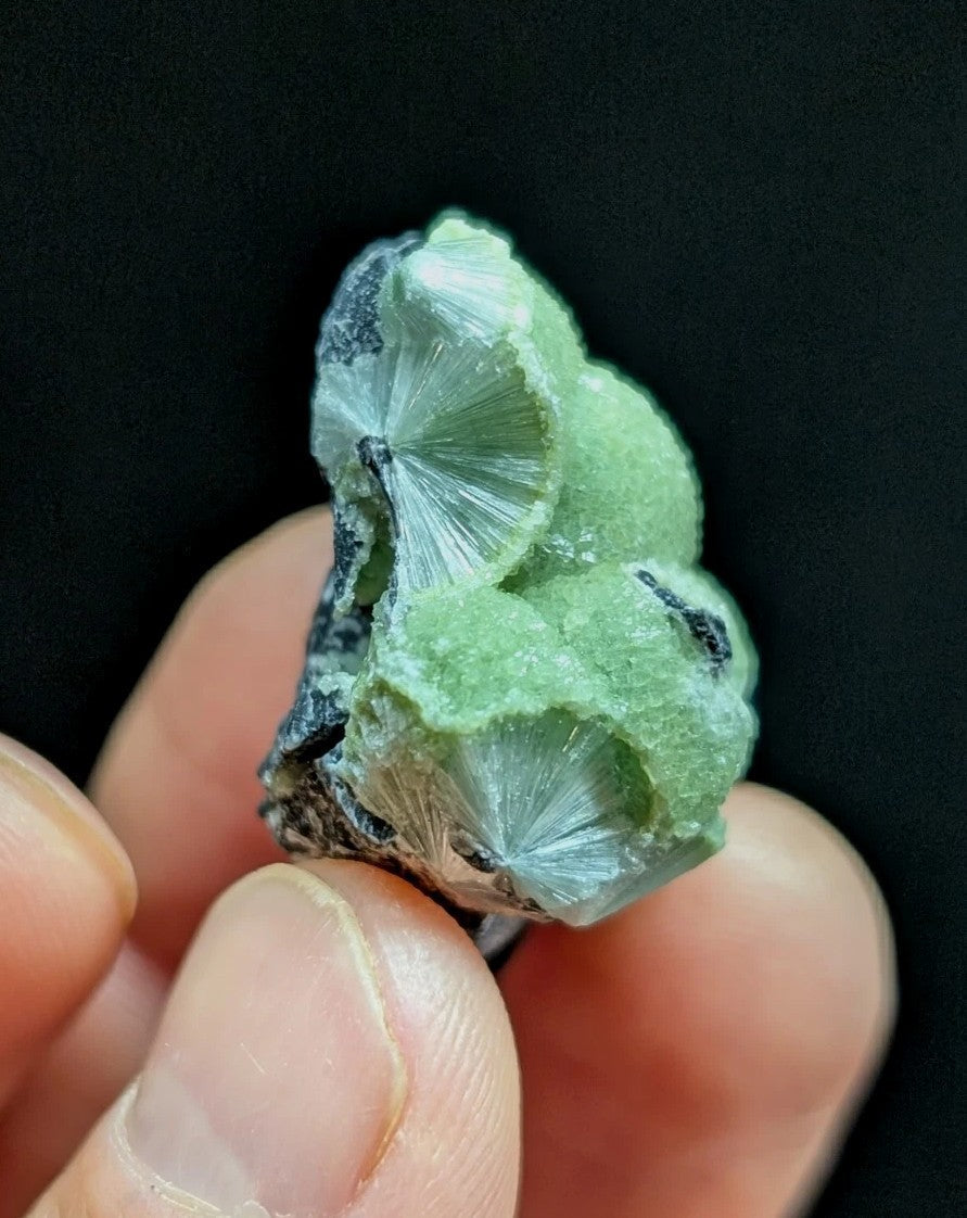 Green Wavellite -Old Stock - Mauldin Mountain Arkansas Natural Mineral - Collectibles:Rocks Fossils & Minerals:Crystals
