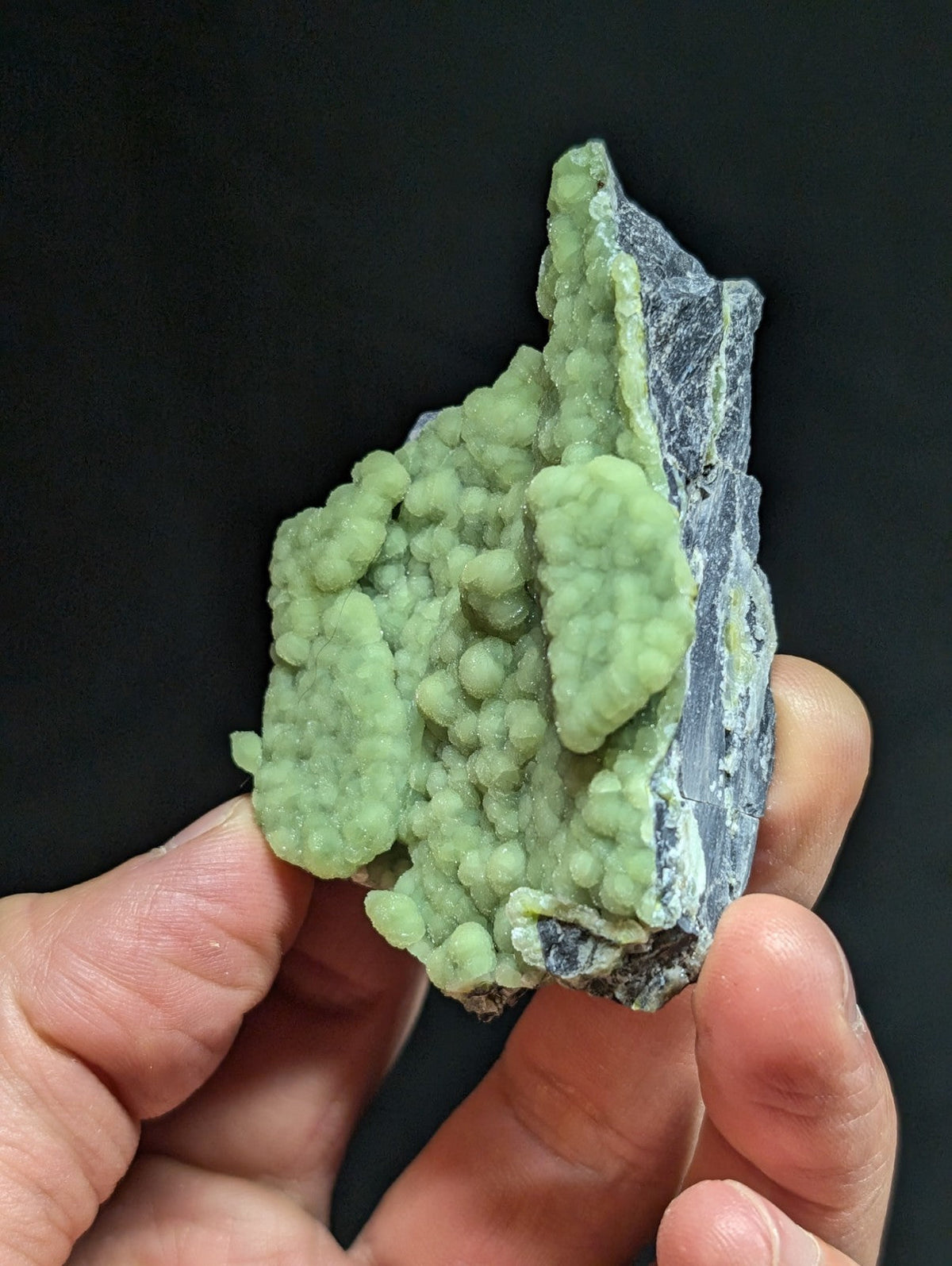 A hand holds a striking green mineral specimen with rounded, bead-like formations growing from a dark gray rock base.