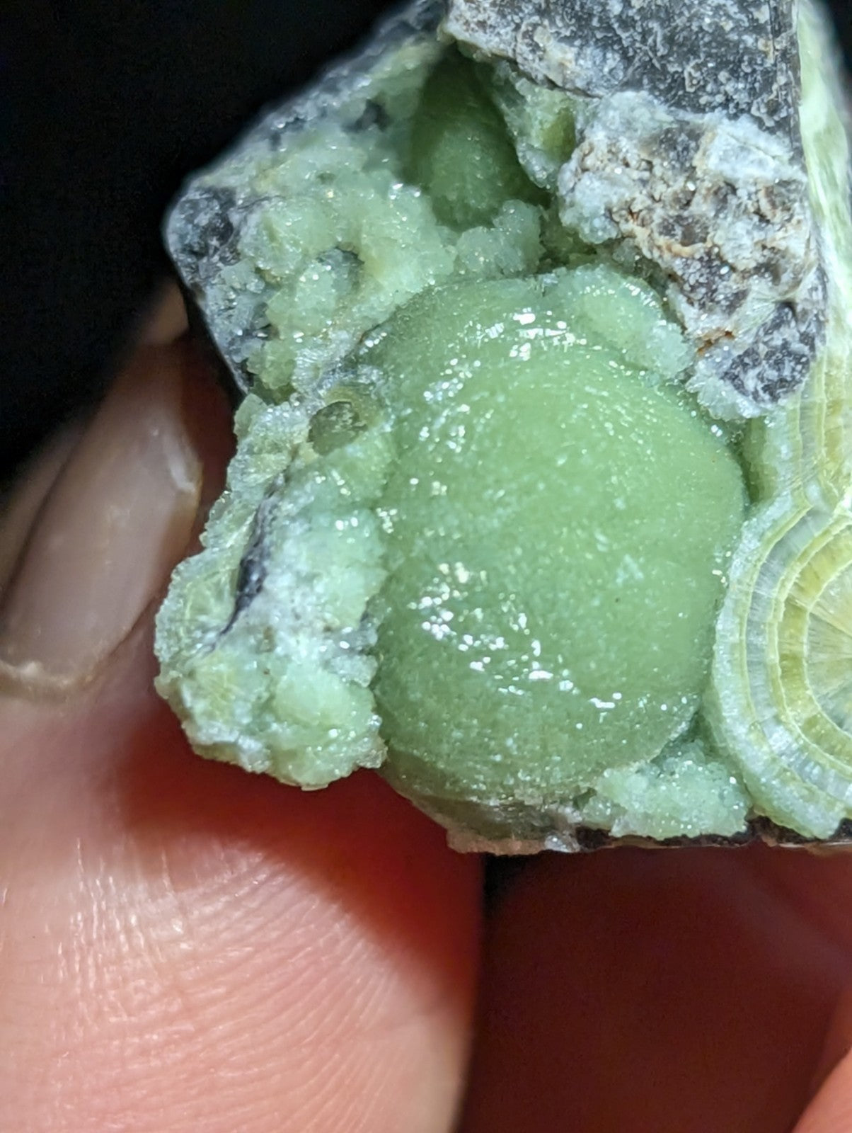 A smooth, translucent green mineral specimen nestled within a rougher gray rock matrix.