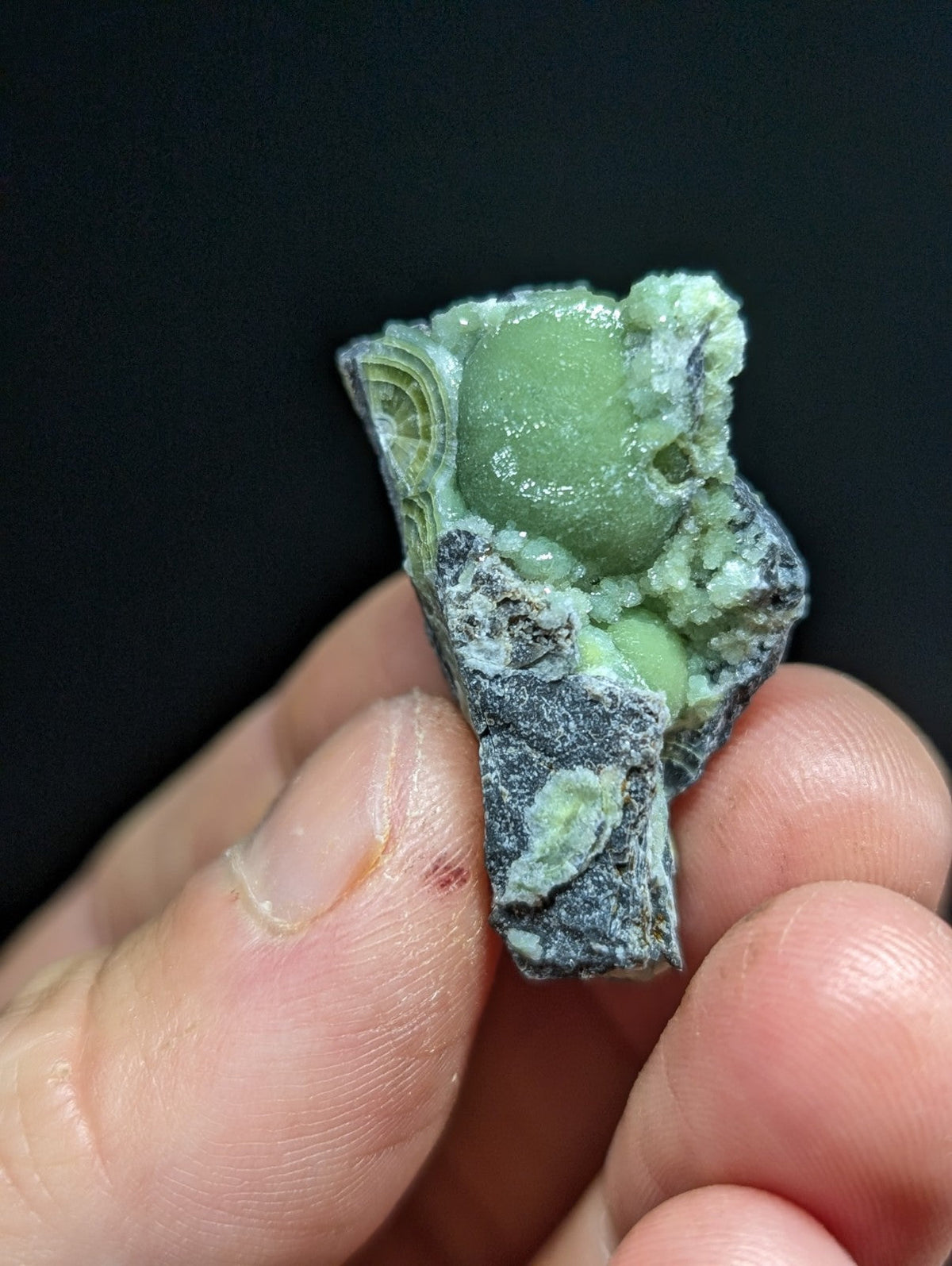 A green, translucent agate specimen with a smooth, rounded interior nestled within a rough, grayish matrix.