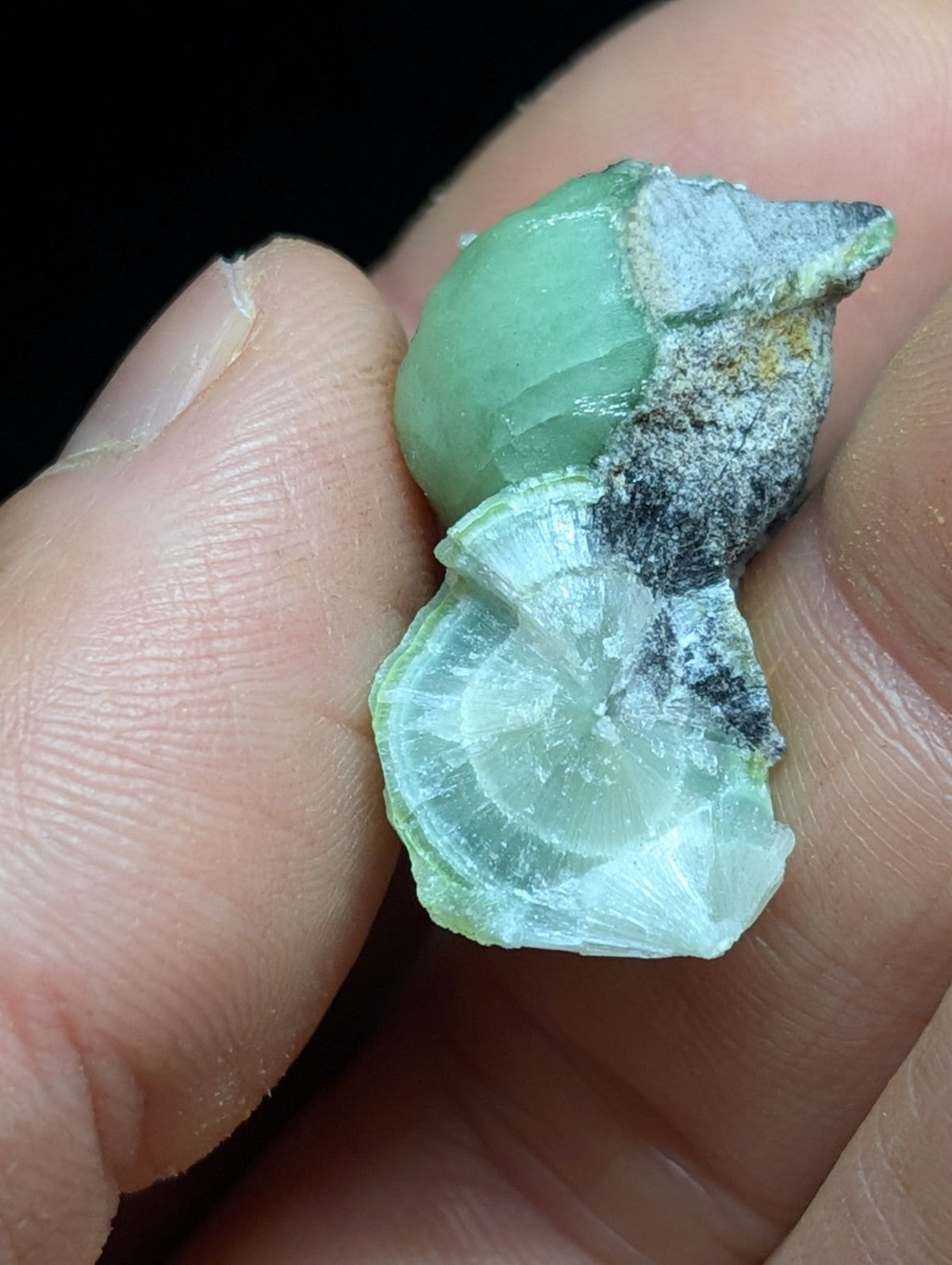 A hand holds a two-part green and white mineral specimen with translucent, layered sections.
