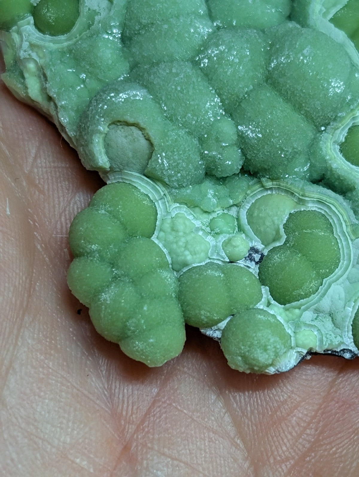 A vibrant green, bumpy mineral specimen with a crystalline texture and white veining.