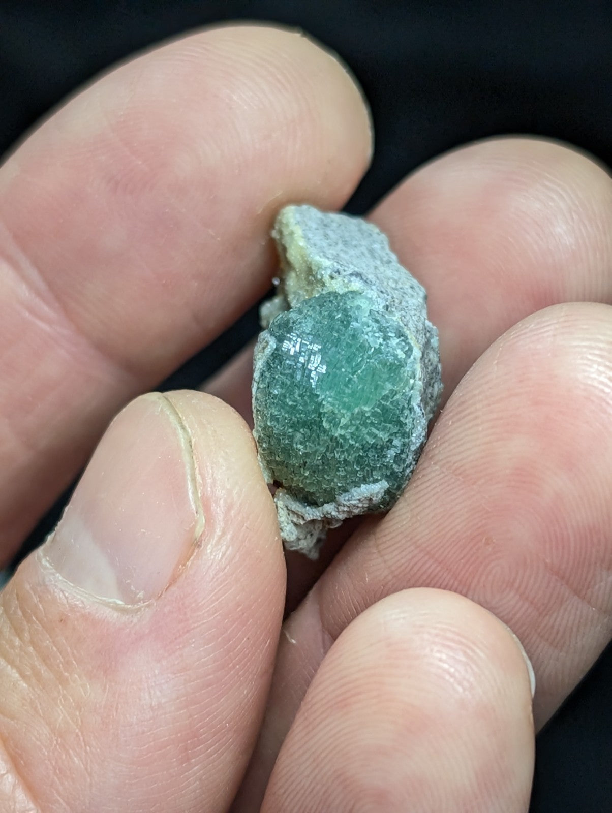 A smooth, translucent green gemstone nestled in a rough gray matrix.