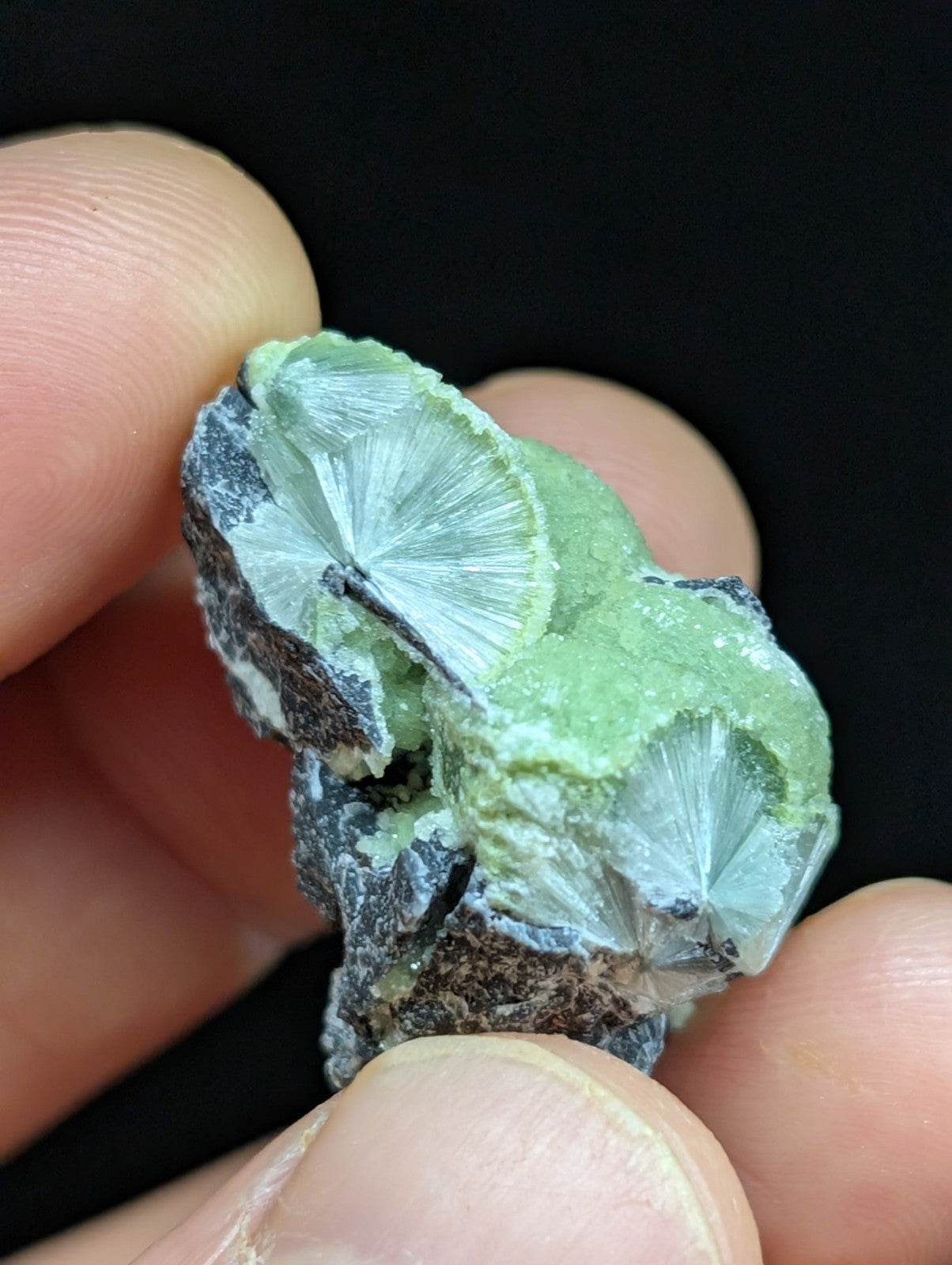 Green Wavellite -Old Stock - Mauldin Mountain Arkansas Natural Mineral - Collectibles:Rocks Fossils & Minerals:Crystals