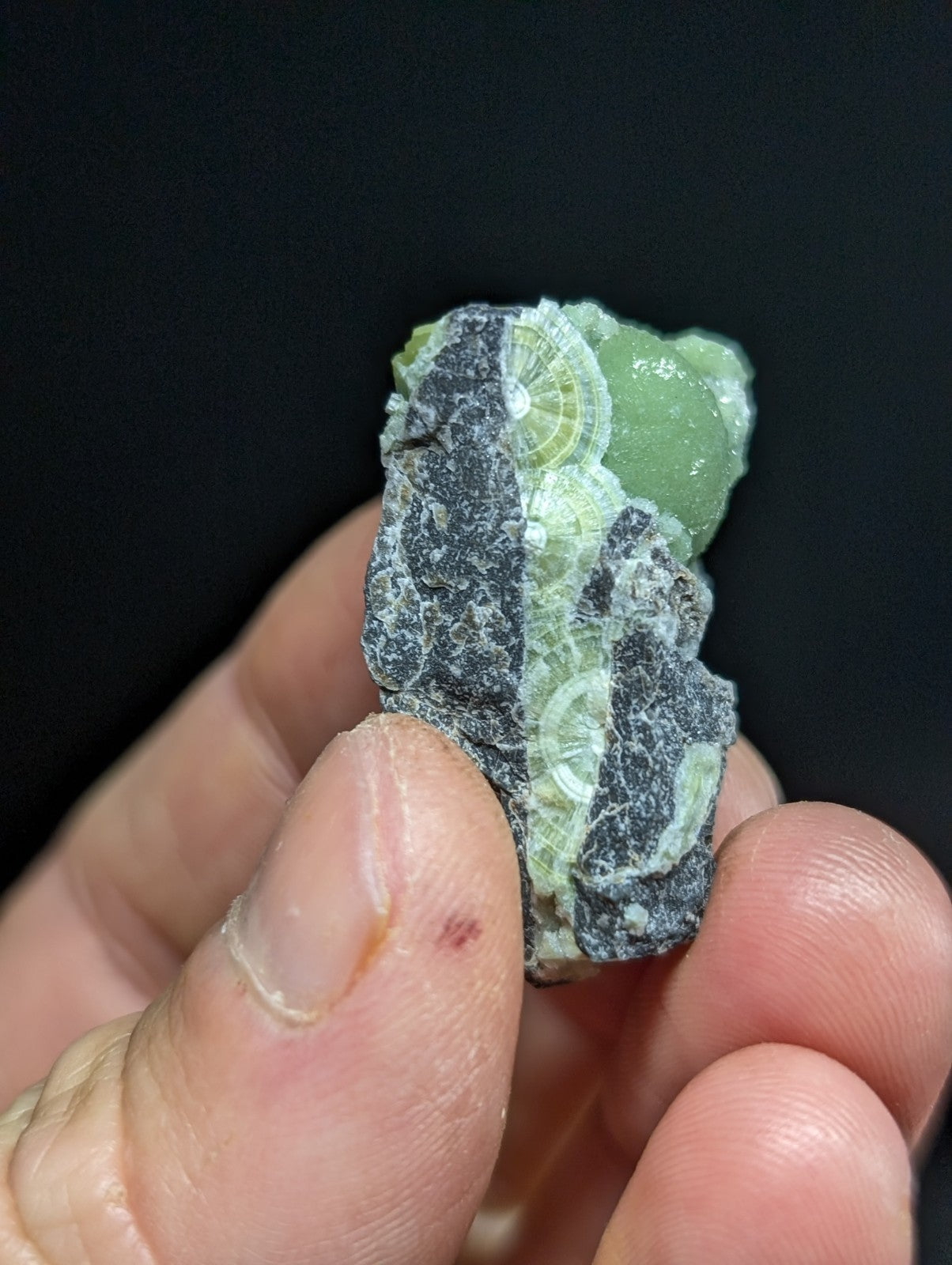 A hand holds a rough, irregularly shaped piece of green and black mineral with visible concentric circular patterns.