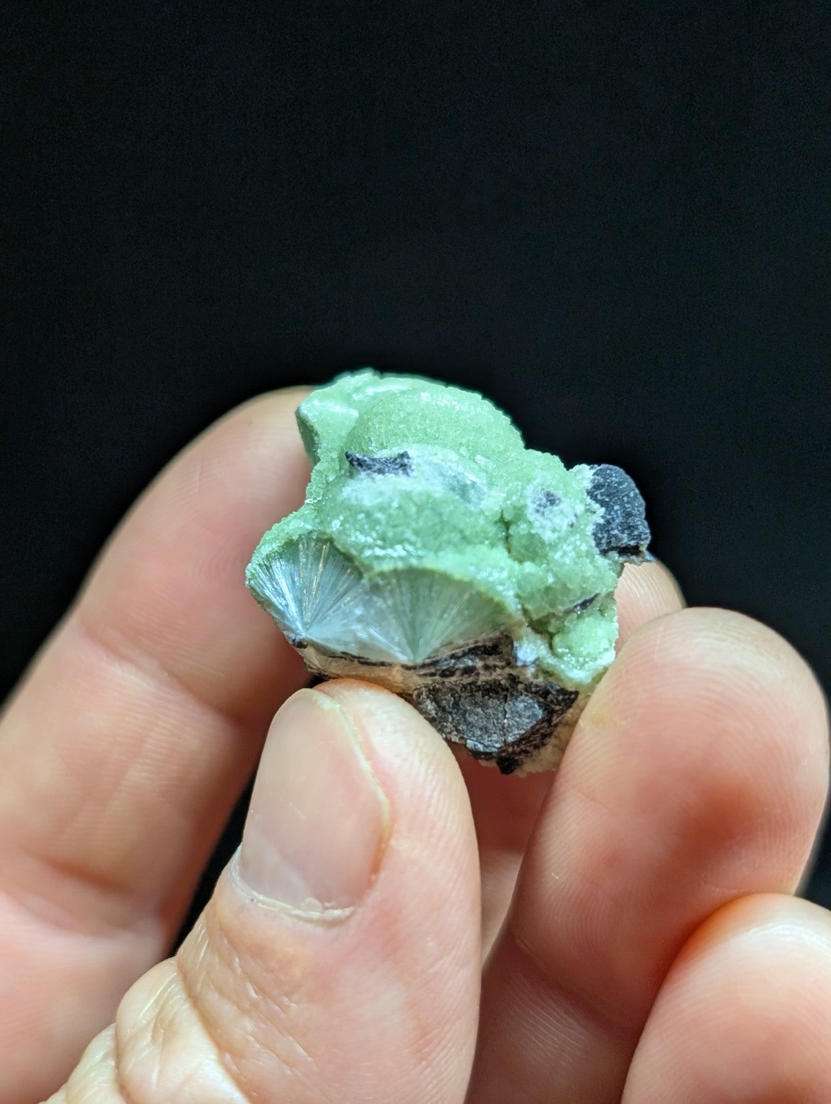 Green Wavellite -Old Stock - Mauldin Mountain Arkansas Natural Mineral - Collectibles:Rocks Fossils & Minerals:Crystals