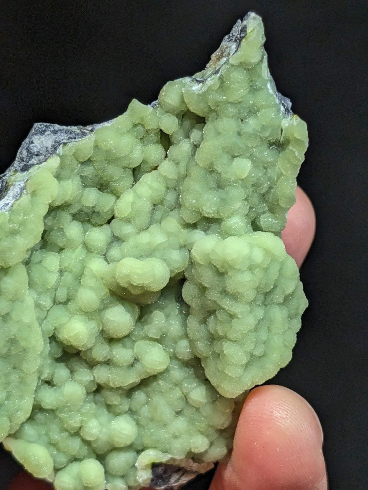 A hand holds a specimen of green, bumpy mineral crystals with a rough, grayish rock base.
