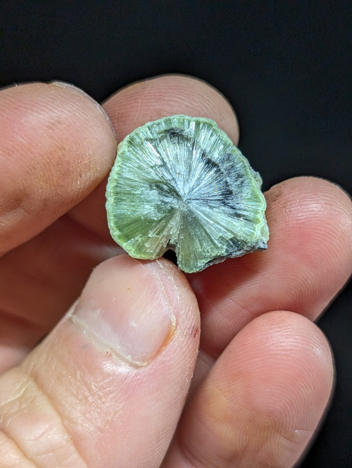 A green, fan-shaped mineral specimen with radiating crystalline patterns and a slightly rough, natural edge.