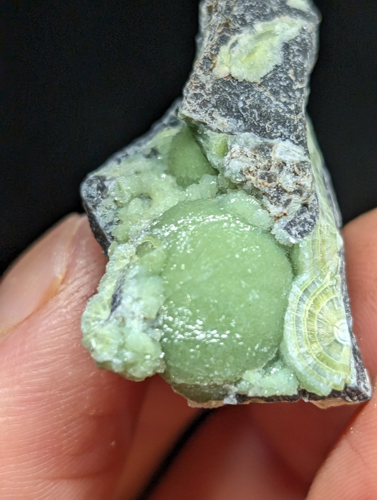 A vibrant green, spherical mineral specimen nestled within a dark gray rock matrix.