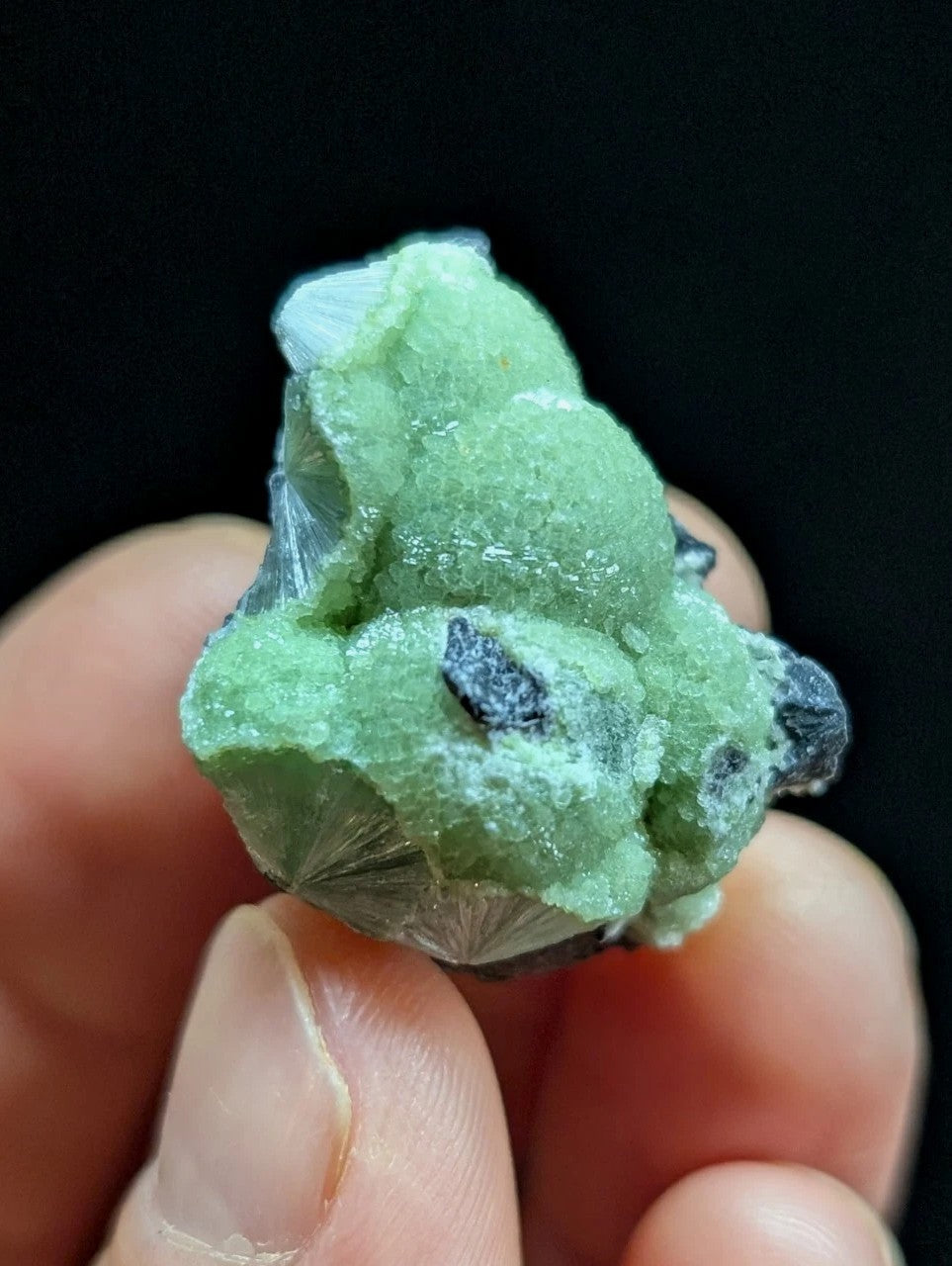 Green Wavellite -Old Stock - Mauldin Mountain Arkansas Natural Mineral - Collectibles:Rocks Fossils & Minerals:Crystals