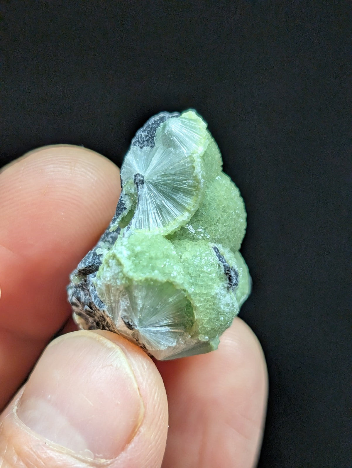 Green Wavellite -Old Stock - Mauldin Mountain Arkansas Natural Mineral - Collectibles:Rocks Fossils & Minerals:Crystals