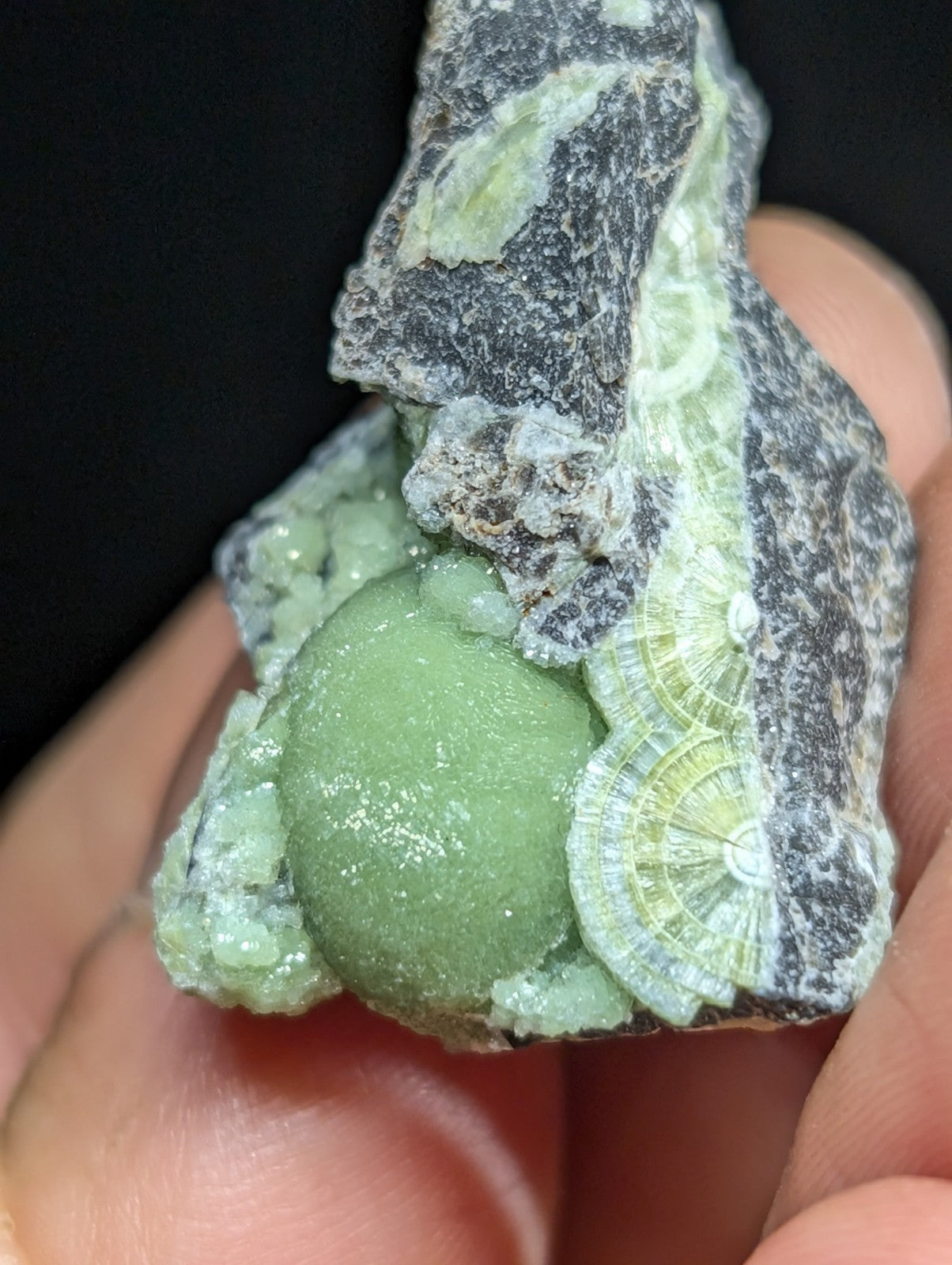 A smooth, light green spherical mineral nestled within a dark gray rock matrix with delicate crystalline formations.