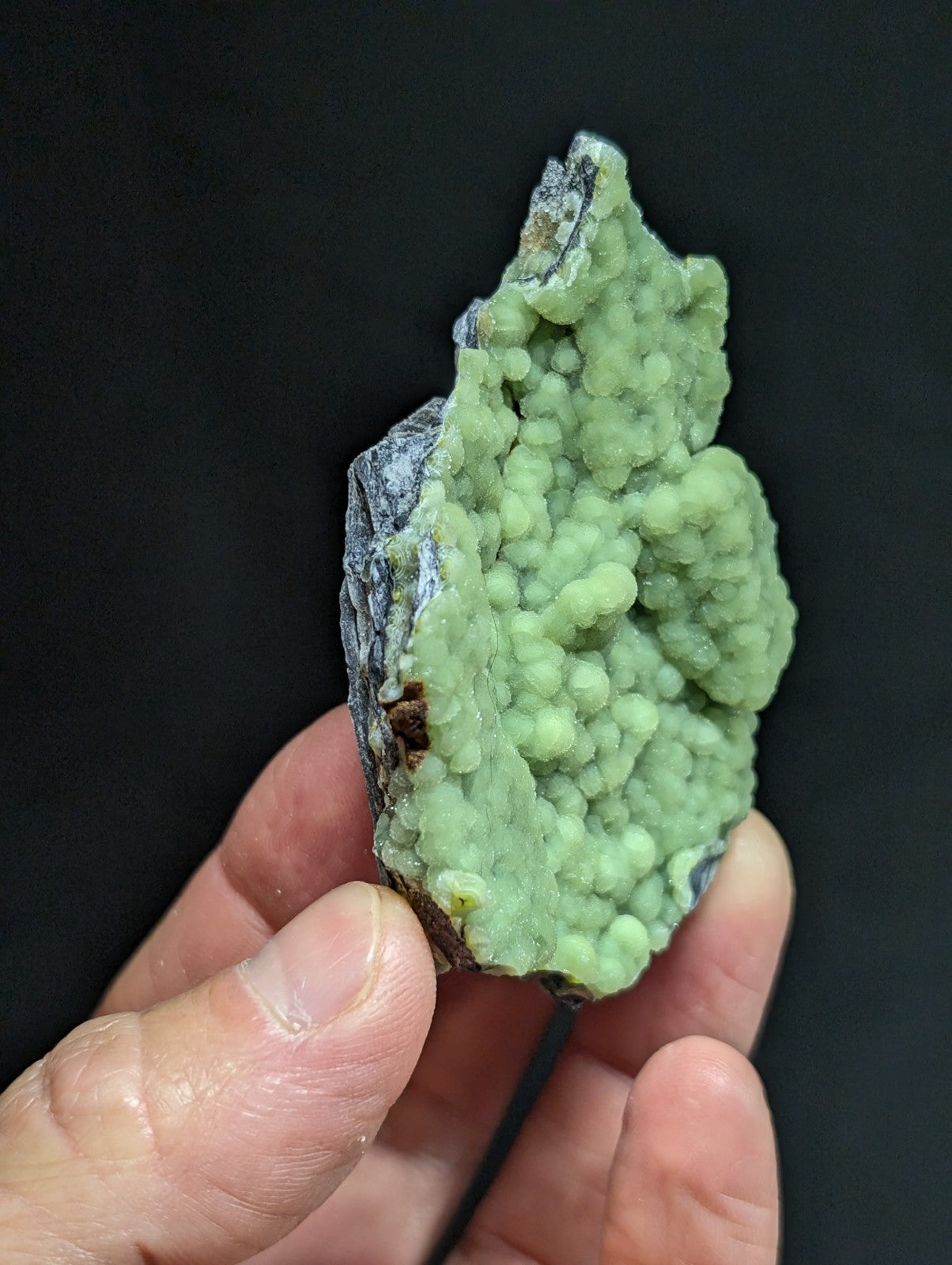 A hand holds a green, crystalline mineral specimen with rounded, clustered formations against a dark background.