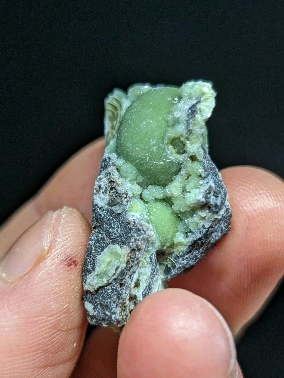 A smooth, light green spherical mineral nestled within a rough, dark gray rock matrix.