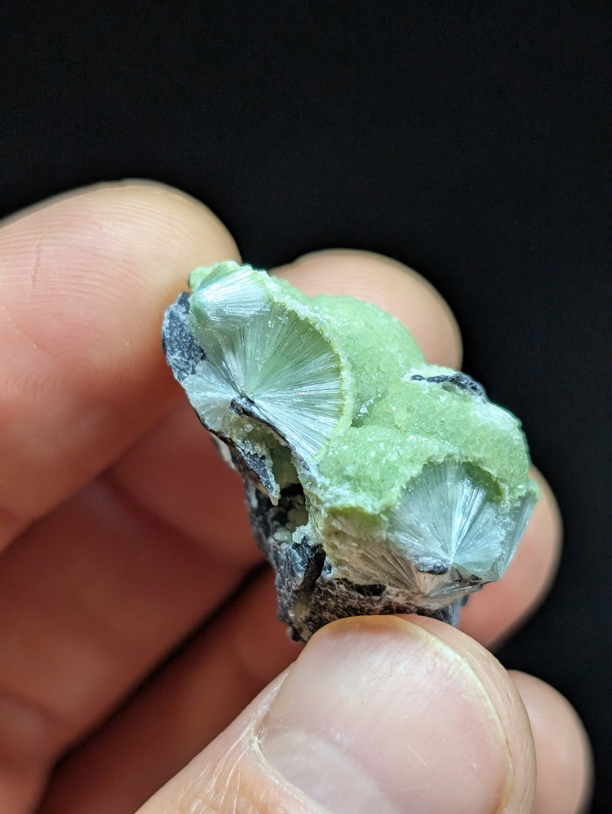Green Wavellite -Old Stock - Mauldin Mountain Arkansas Natural Mineral - Collectibles:Rocks Fossils & Minerals:Crystals