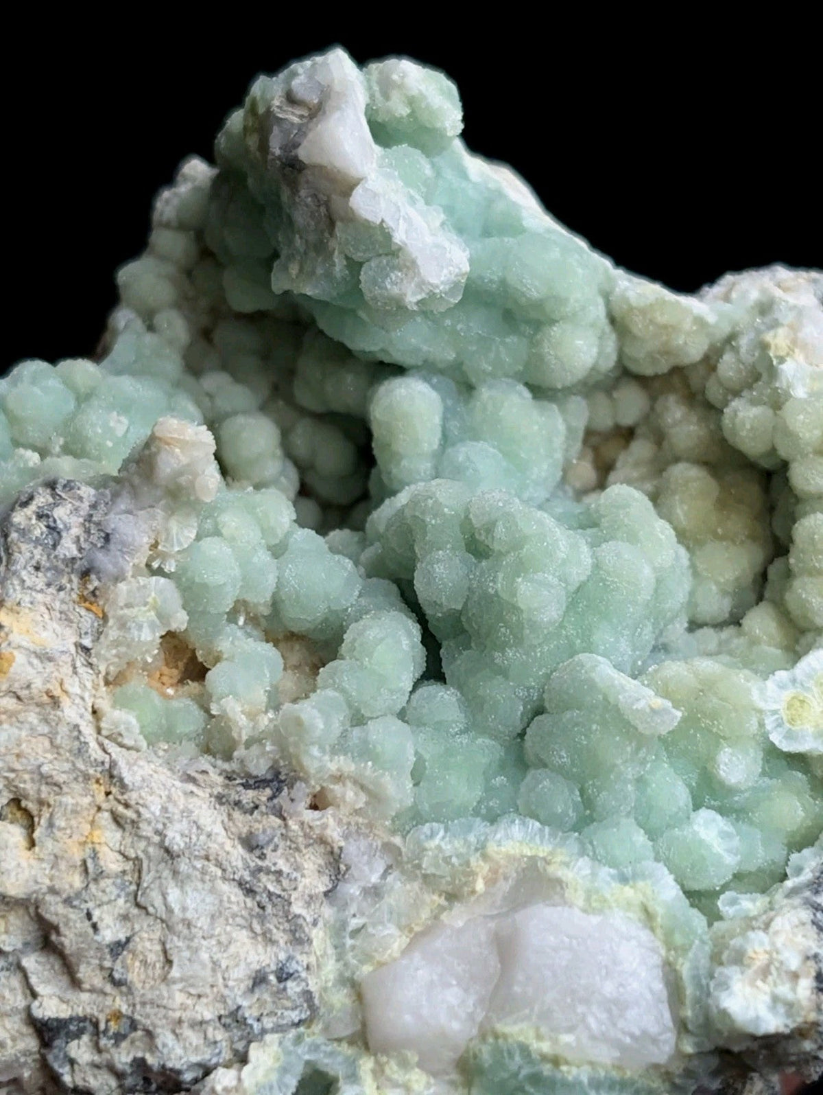 A cluster of light green, bead-like crystals growing from a rougher gray rock matrix.