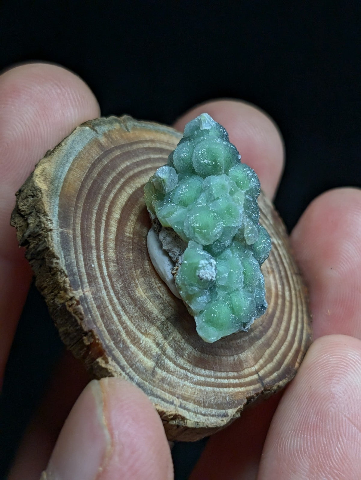 A vibrant green, crystalline mineral specimen with a bumpy, clustered texture rests atop a circular slice of wood.
