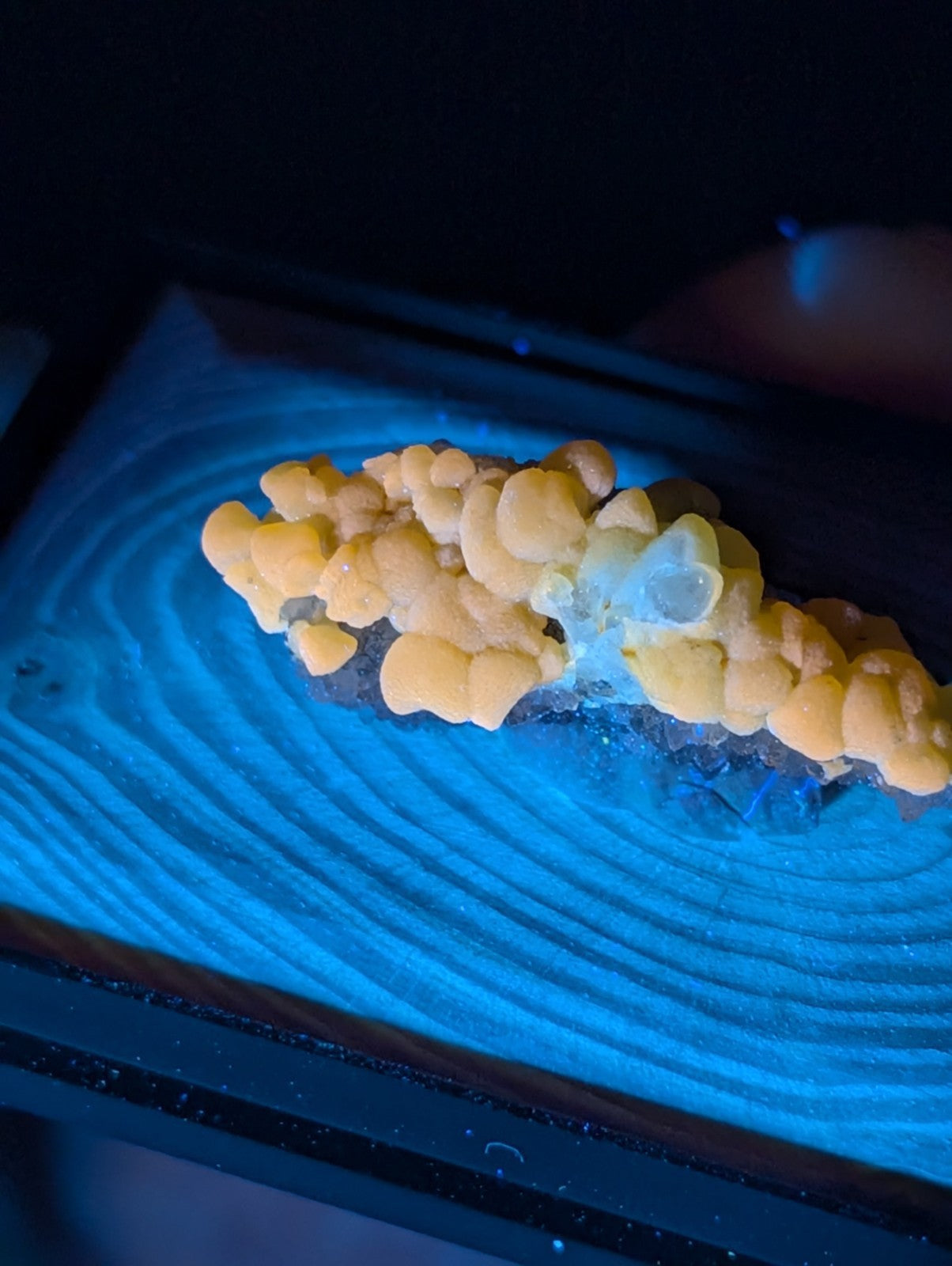 A cluster of yellowish-orange, rounded mineral formations with translucent white crystalline inclusions rests on a blue-lit wooden surface.