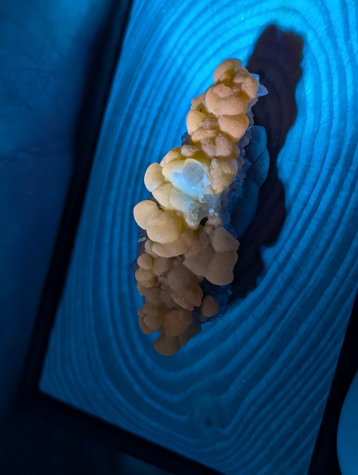 A cluster of pale yellow, bulbous mineral formations with a translucent center rests on a blue, concentrically patterned surface.
