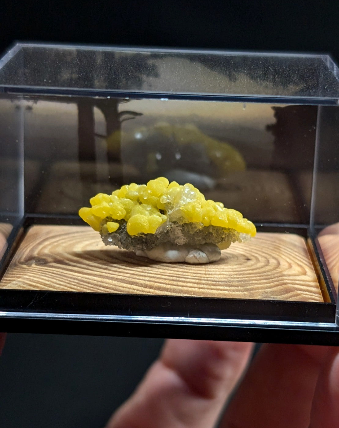 Vibrant yellow sulfur mineral specimen displayed in a clear acrylic display case.