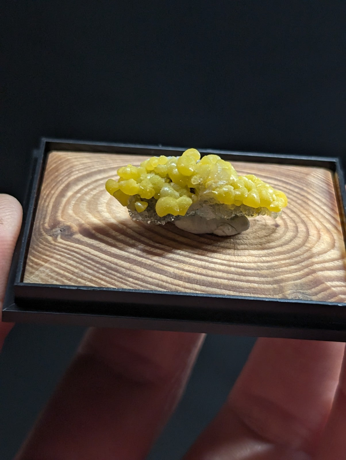 A vibrant yellow, clustered mineral specimen with a glossy surface rests on a wooden display base inside a black frame.