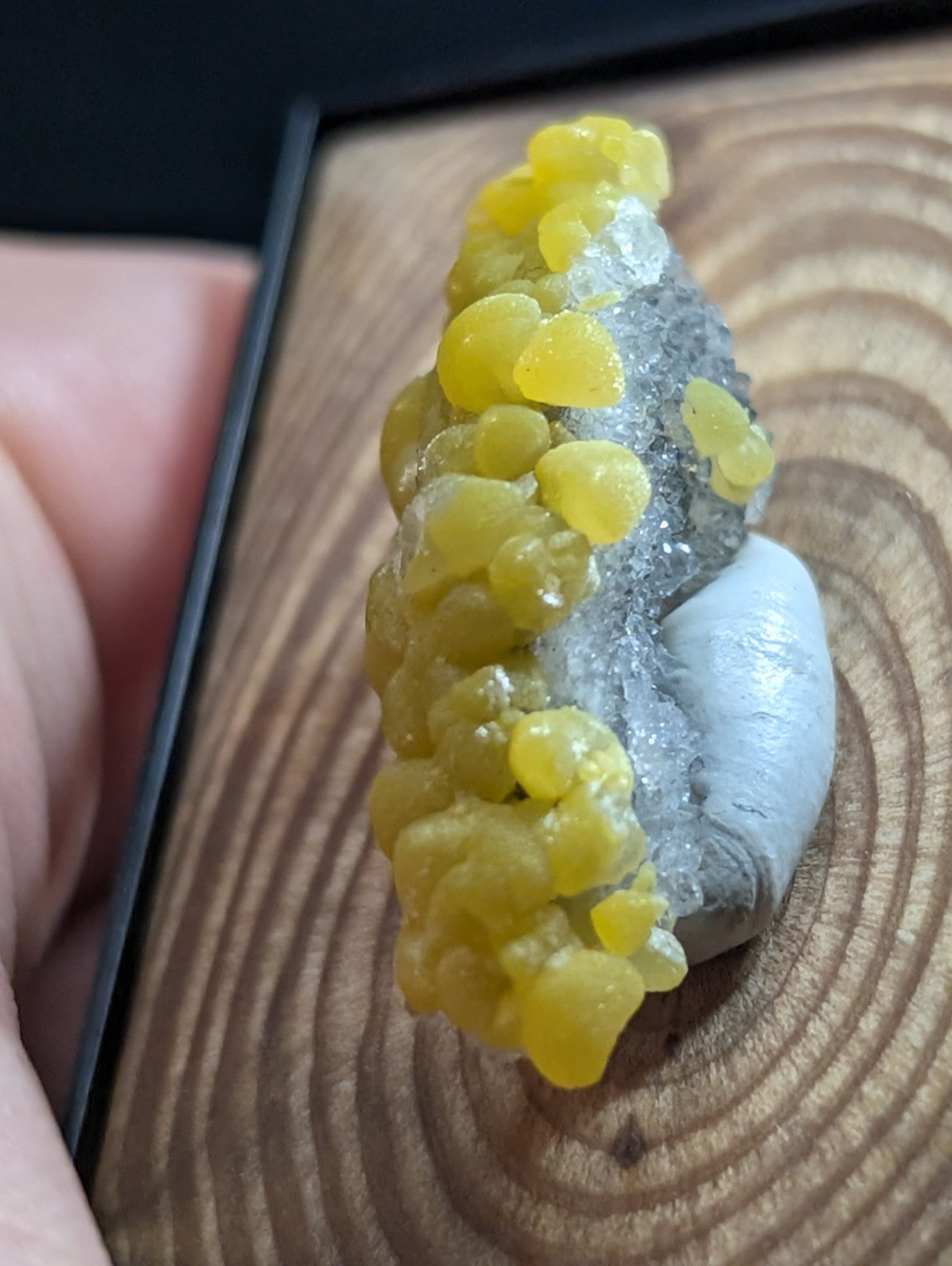 A vibrant yellow, translucent mineral specimen with a crystalline texture and rounded formations nestled against a grayish rock base.