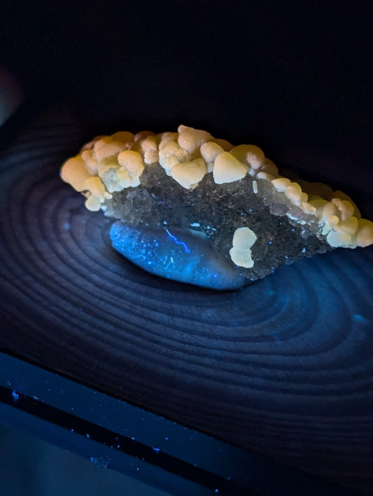 A striking geode with a vibrant blue interior and golden-yellow crystalline formations on its outer surface.