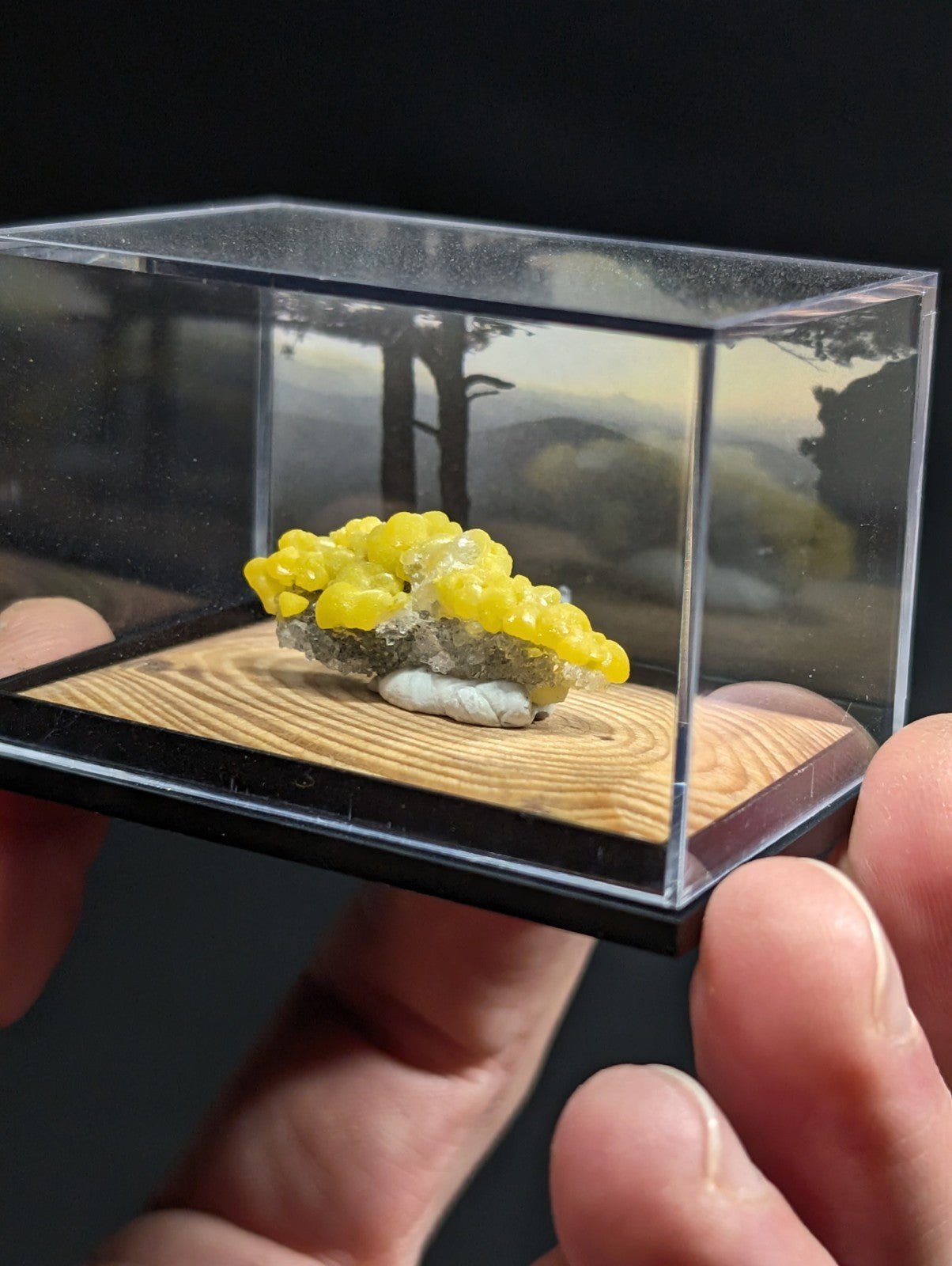 A vibrant yellow, clustered mineral specimen displayed in a clear acrylic display case with a wooden base.