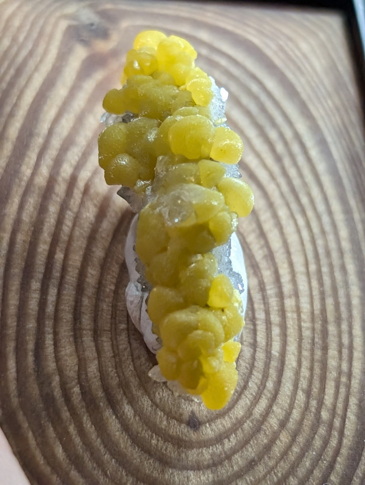 A vibrant yellow, bubbly mineral specimen with a crystalline texture and translucent quality.