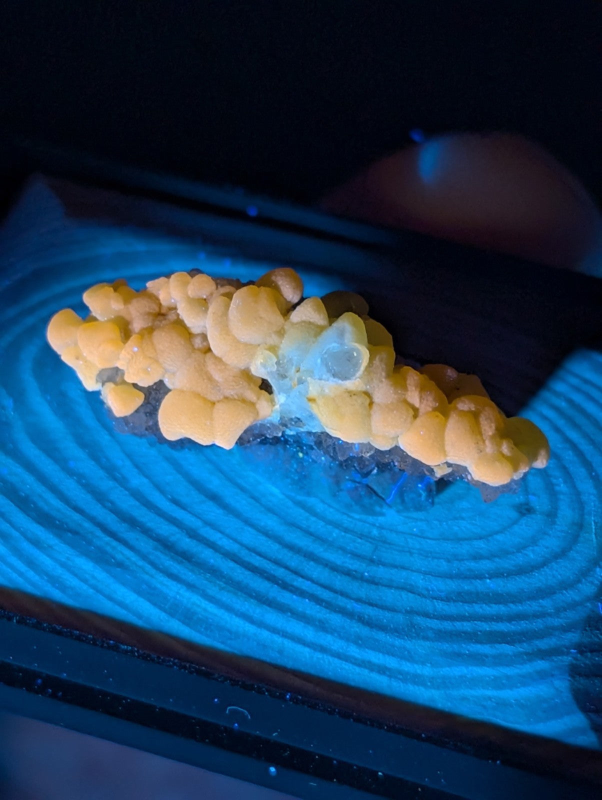 A cluster of yellow and translucent mineral formations with rounded, bulbous shapes.