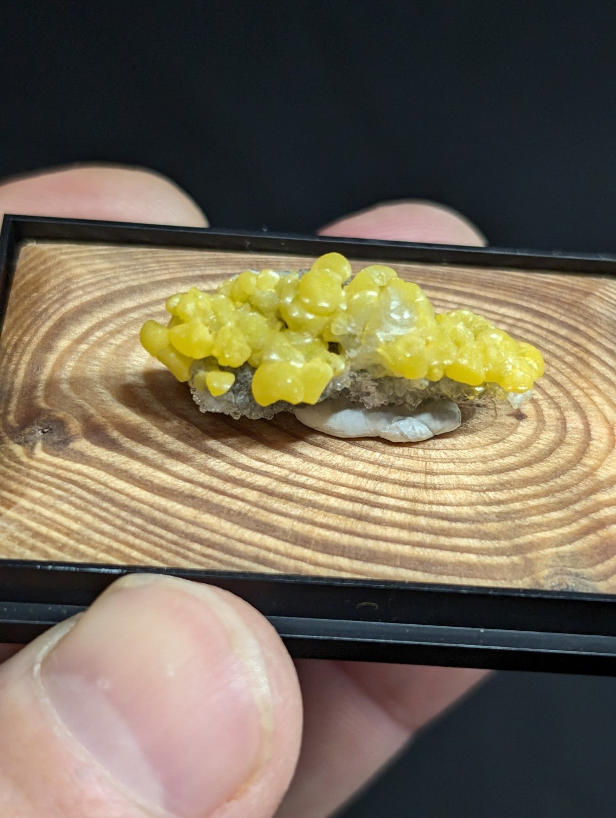 A vibrant yellow, crystalline mineral specimen with a glossy, bulbous texture resting on a natural wood display base.