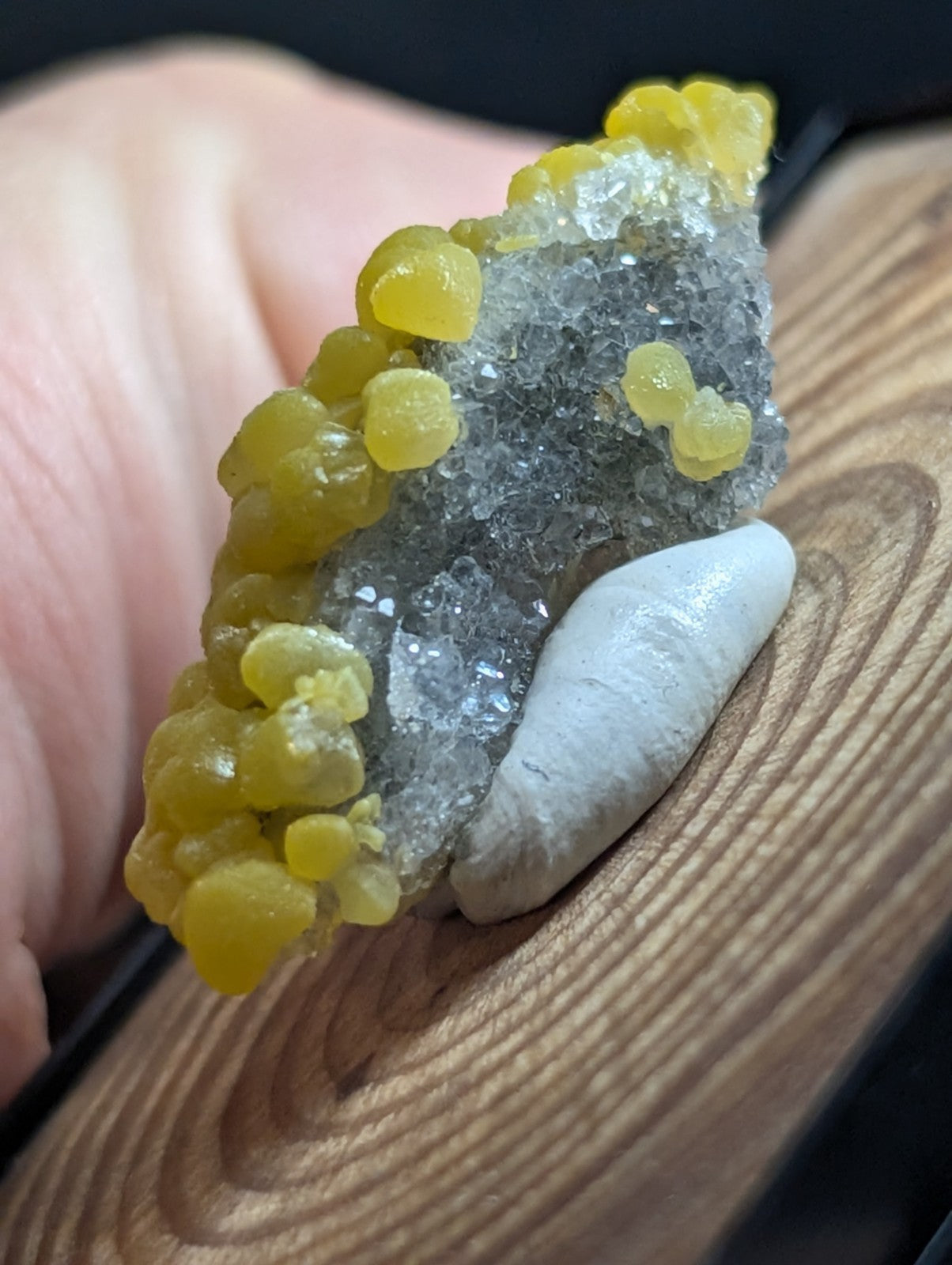 A striking yellow and clear quartz geode with a cluster of vibrant, rounded citrine formations.