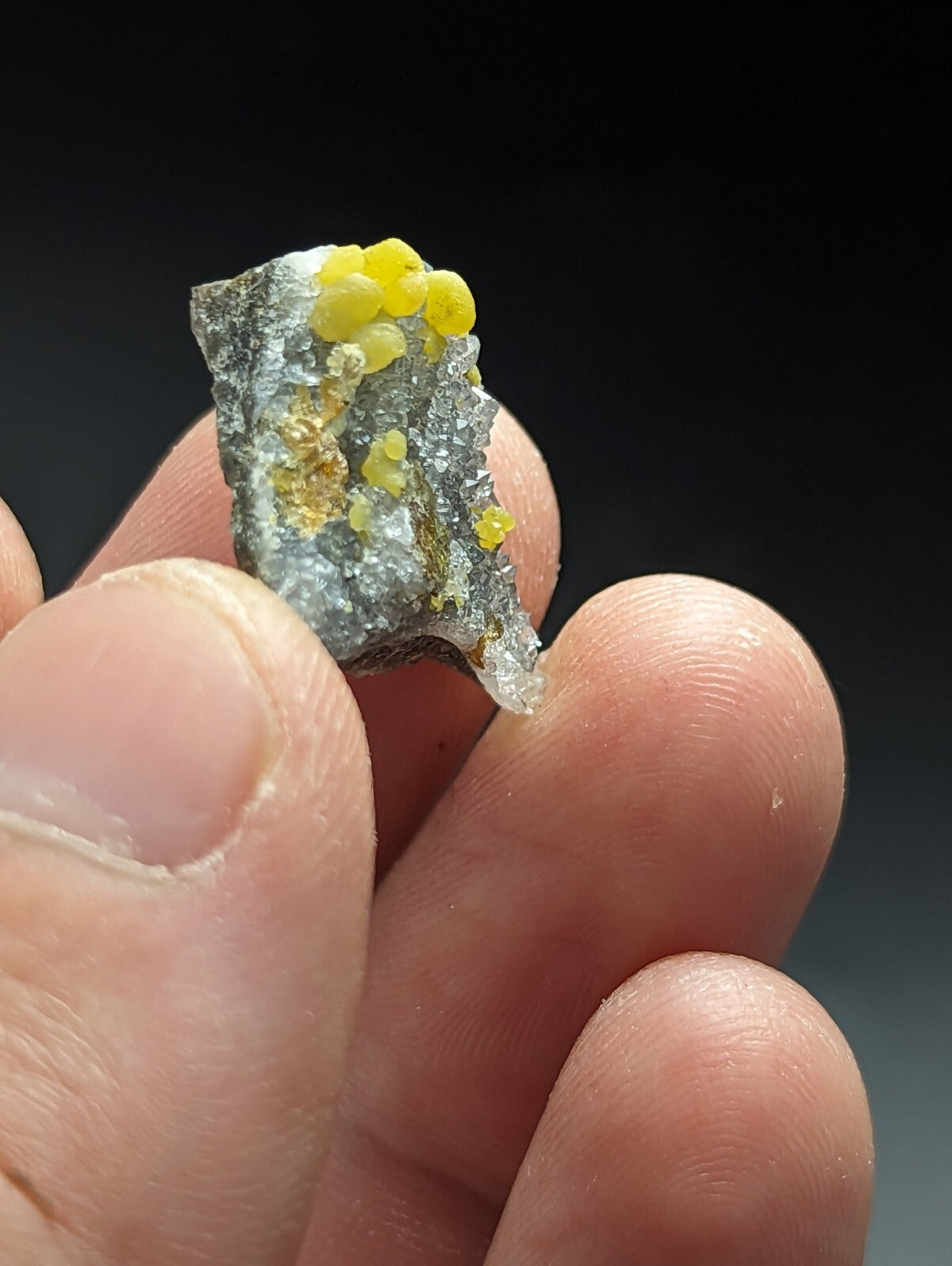 A hand holds a small, irregularly shaped mineral specimen featuring vibrant yellow spherical crystals growing from a grayish rock matrix with visible crystalline textures.