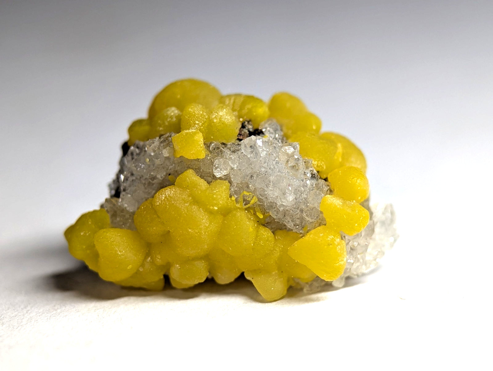 A vibrant yellow, rounded mineral formation nestled atop a cluster of translucent white crystals.