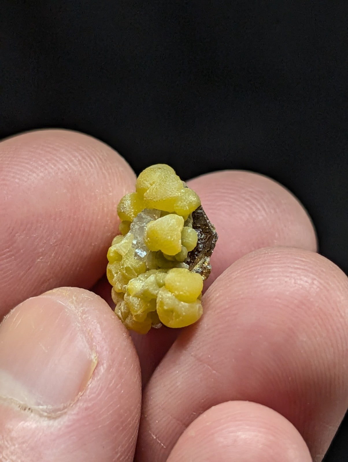 A cluster of vibrant yellow, rounded mineral formations with a translucent quality and some clear crystalline accents.