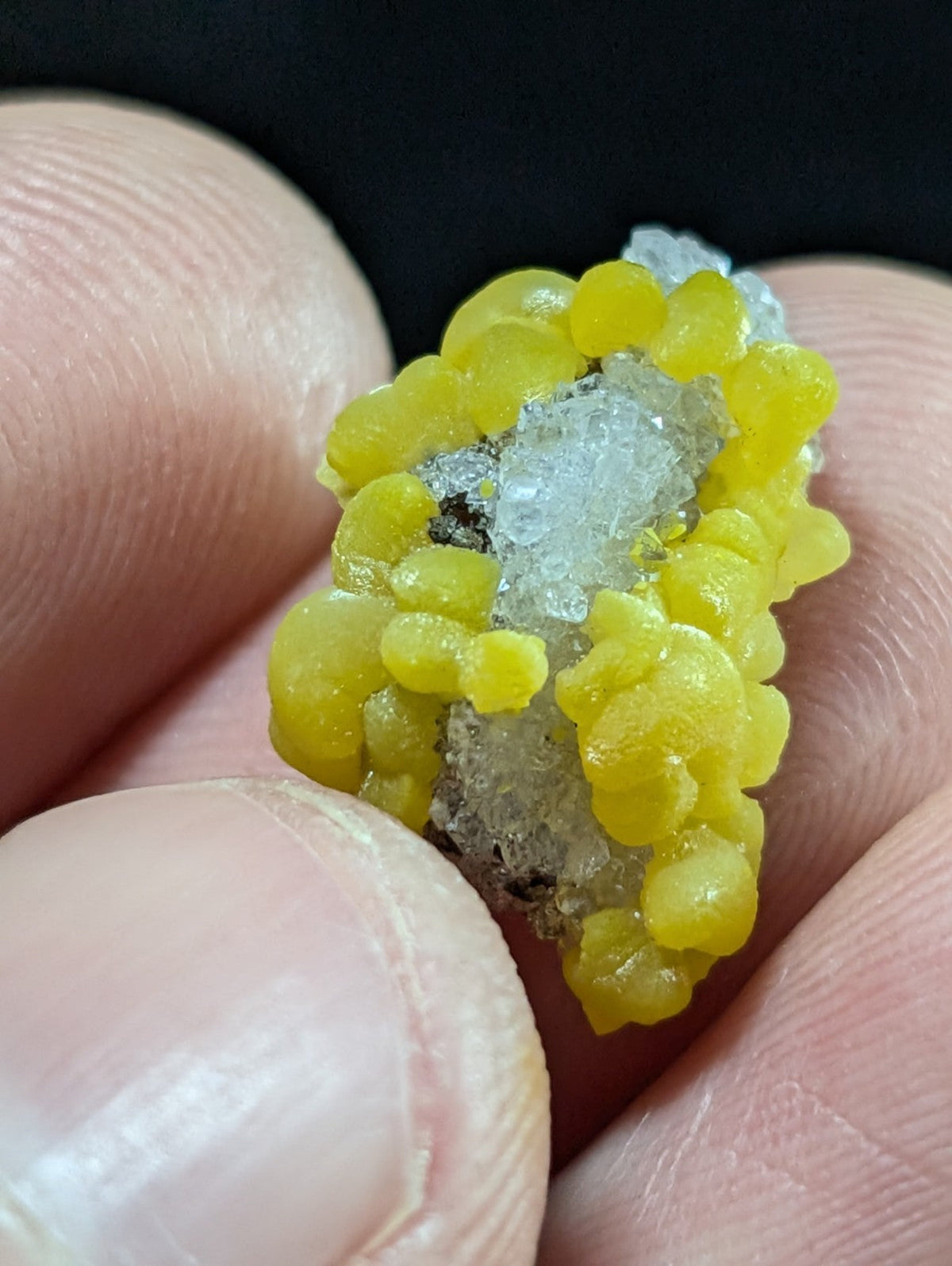 A vibrant yellow, bead-like mineral specimen with translucent crystalline formations nestled within its structure.