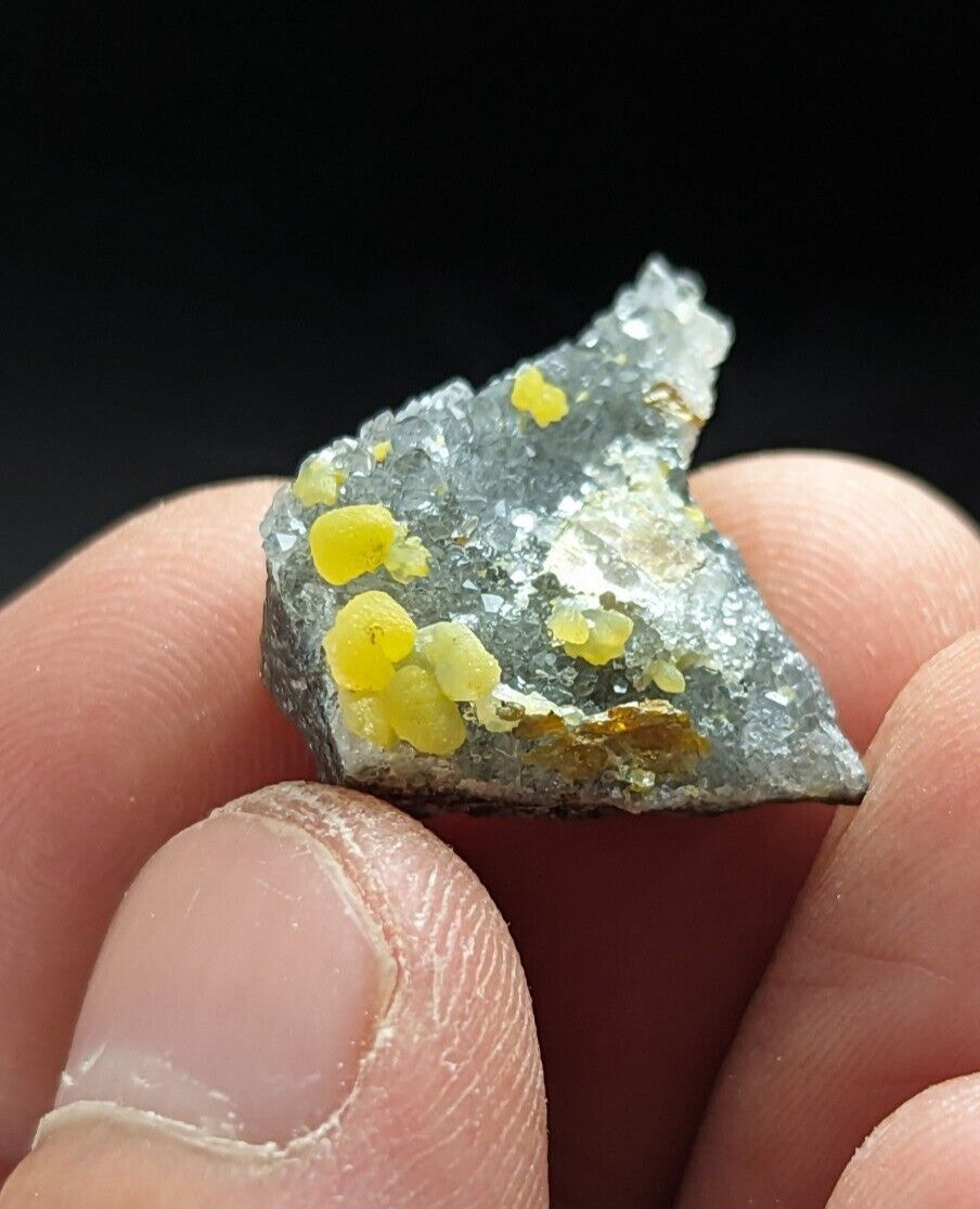 A hand holds a gray mineral specimen with bright yellow crystalline inclusions.