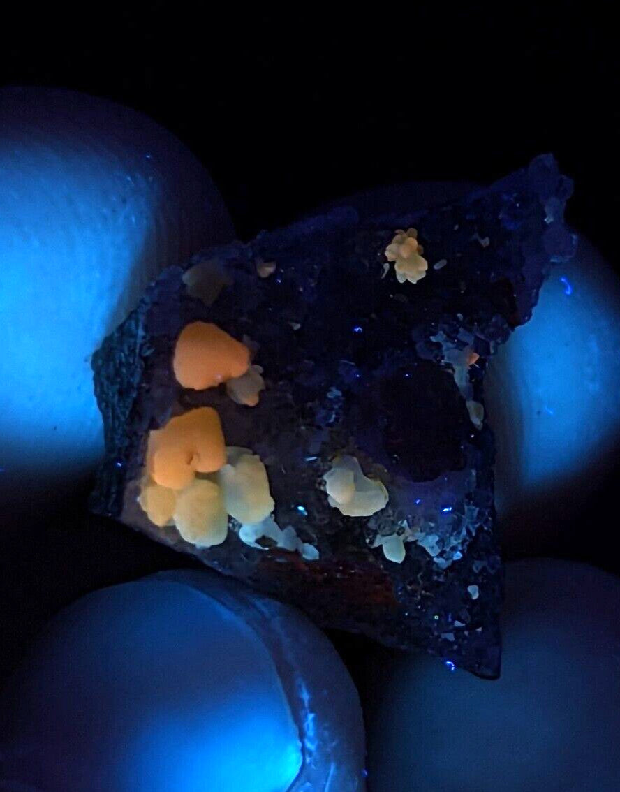 A dark, crystalline mineral specimen with vibrant orange and pale yellow fluorescent growths under blue light.