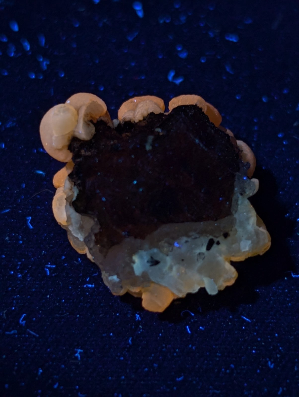A dark, rough-textured mineral specimen with translucent orange and white crystalline formations surrounding its base.